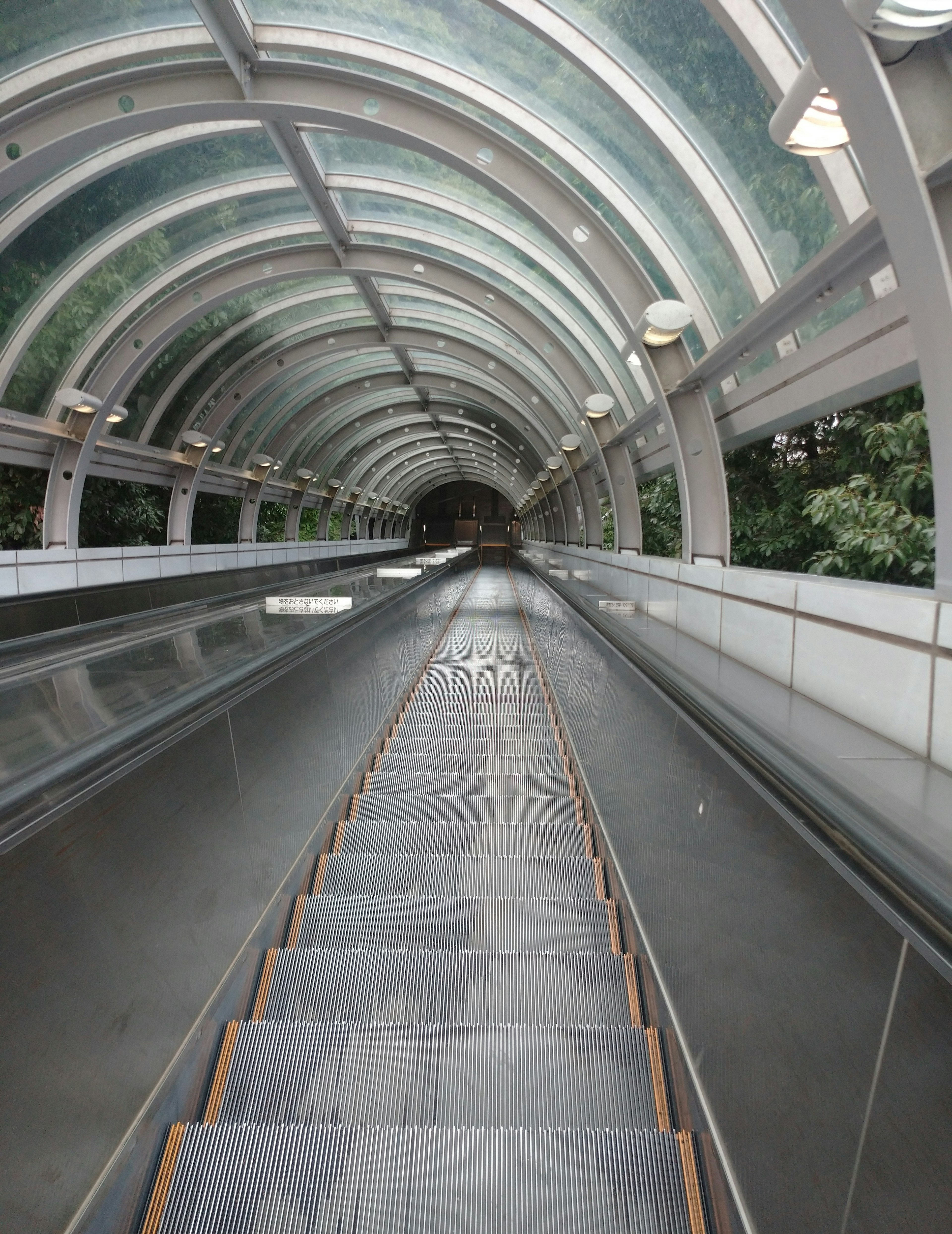 Interior view of a glass-roofed escalator