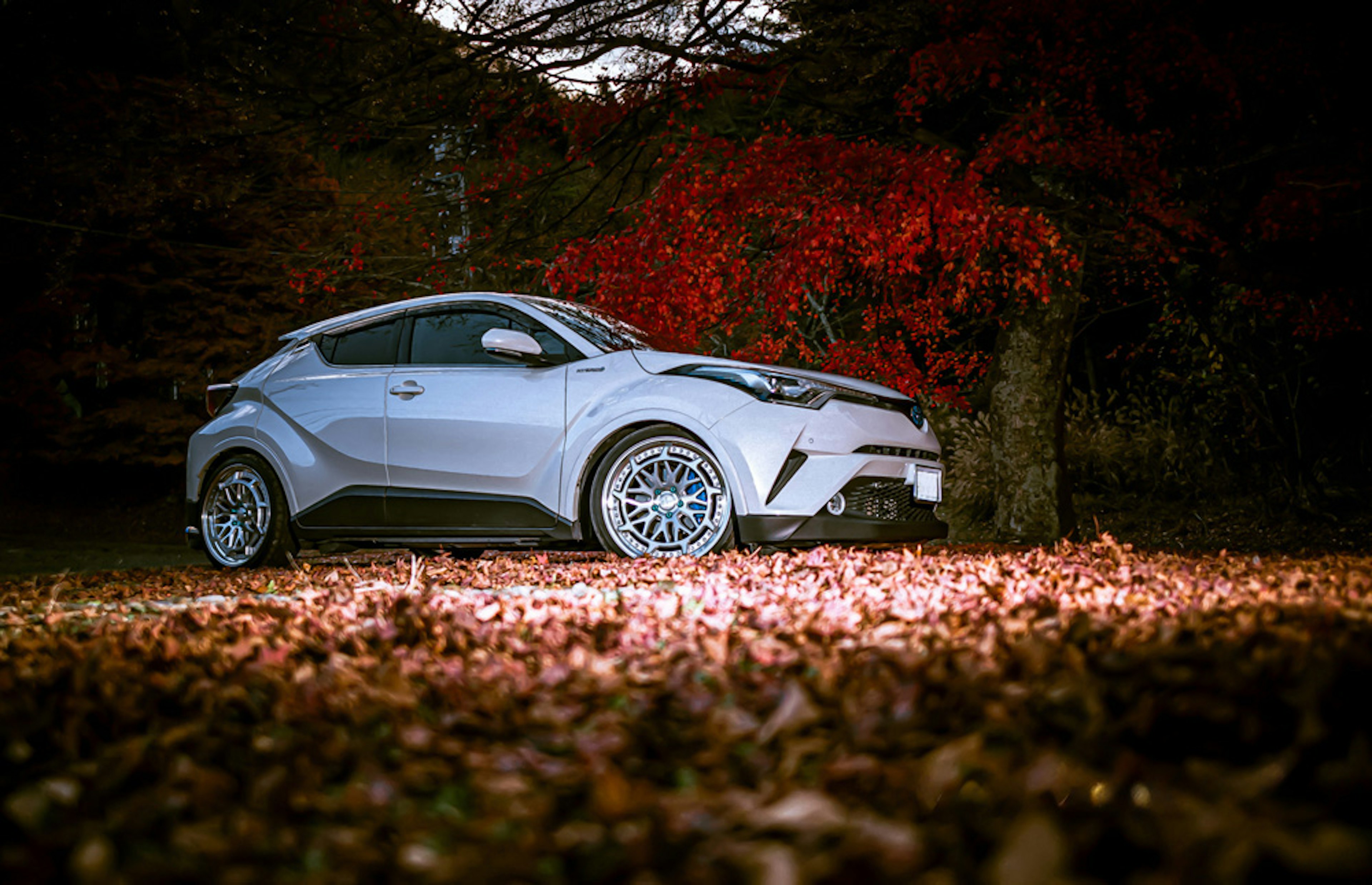 Ein weißes Auto, das zwischen lebendigen Herbstblättern geparkt ist