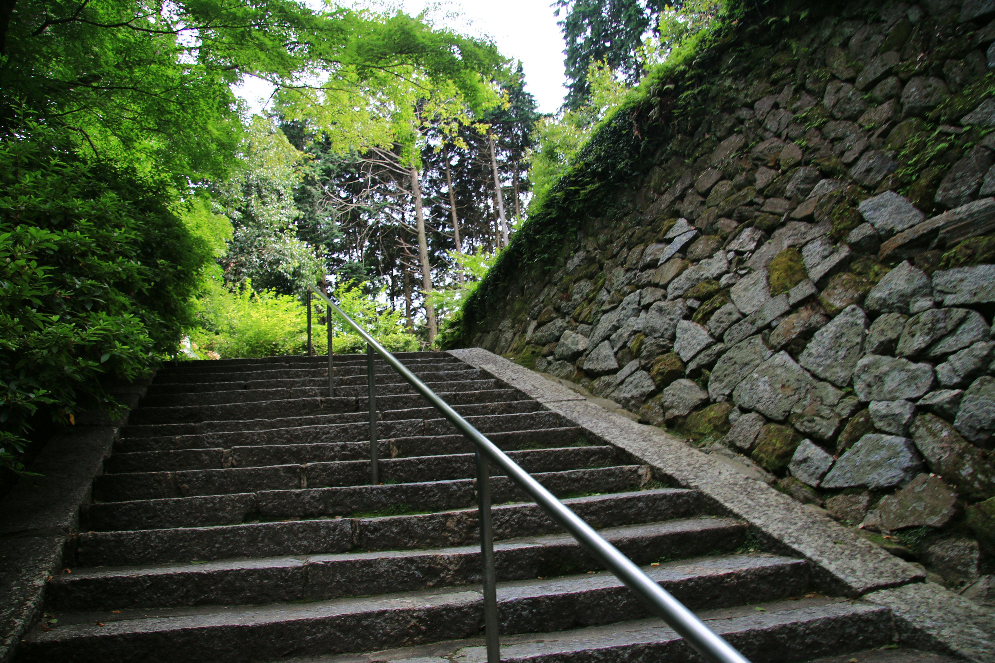 Escaliers avec mur en pierre et rampe, verdure luxuriante