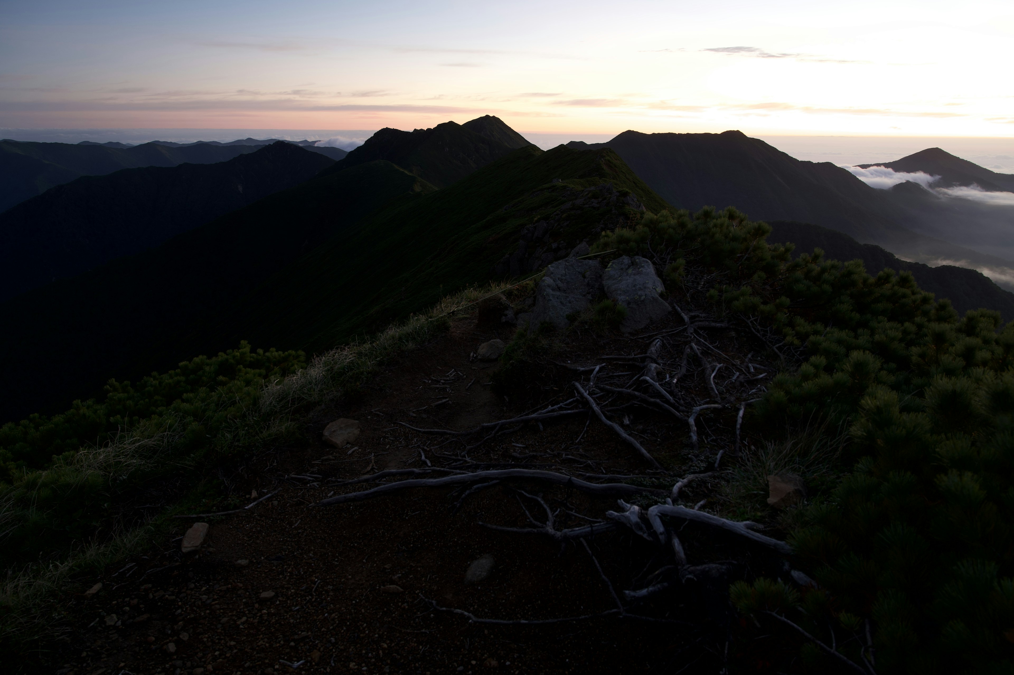 Cresta montañosa al atardecer con raíces de árboles visibles