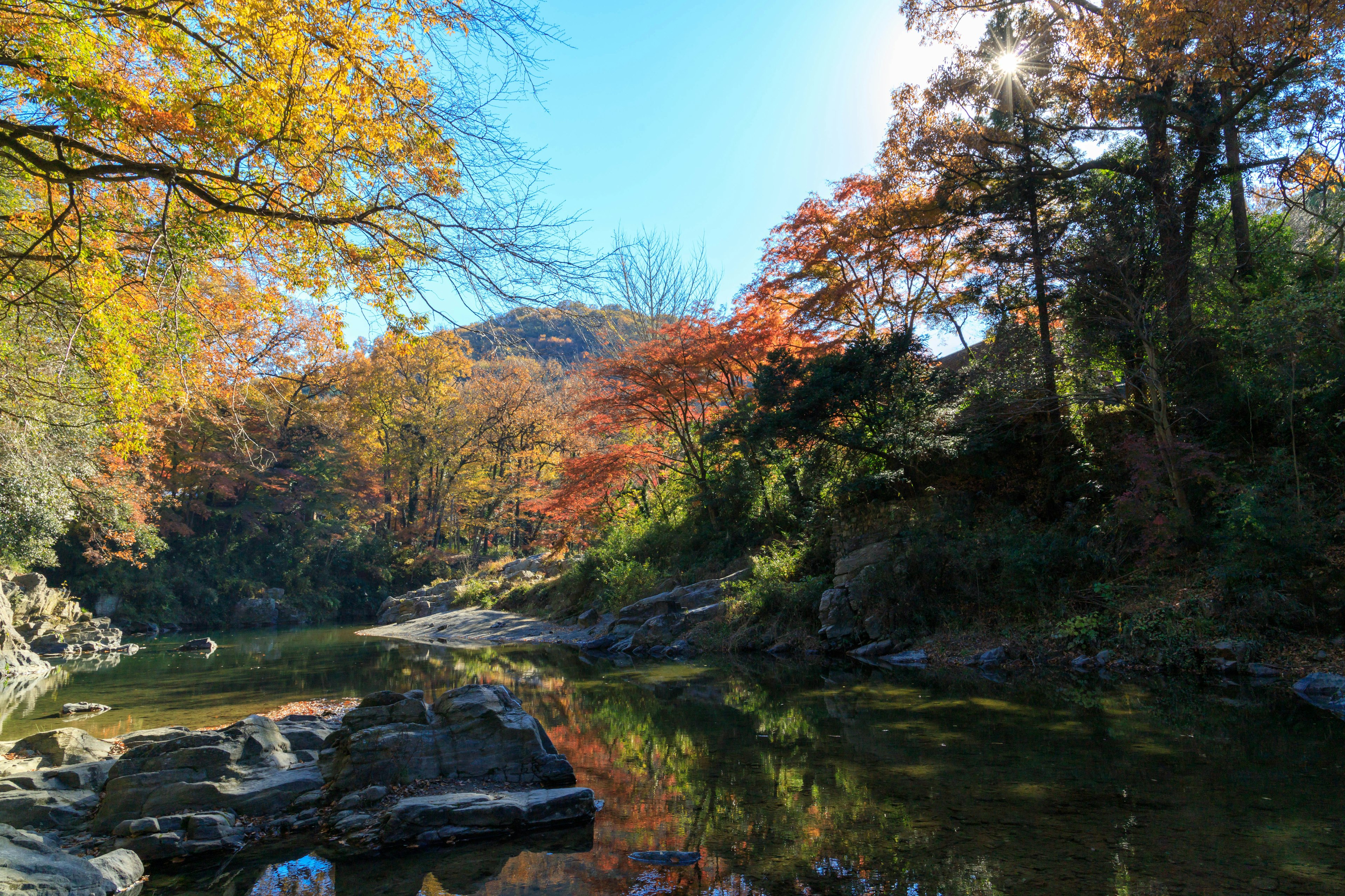 色とりどりの秋の葉が映る静かな川の風景