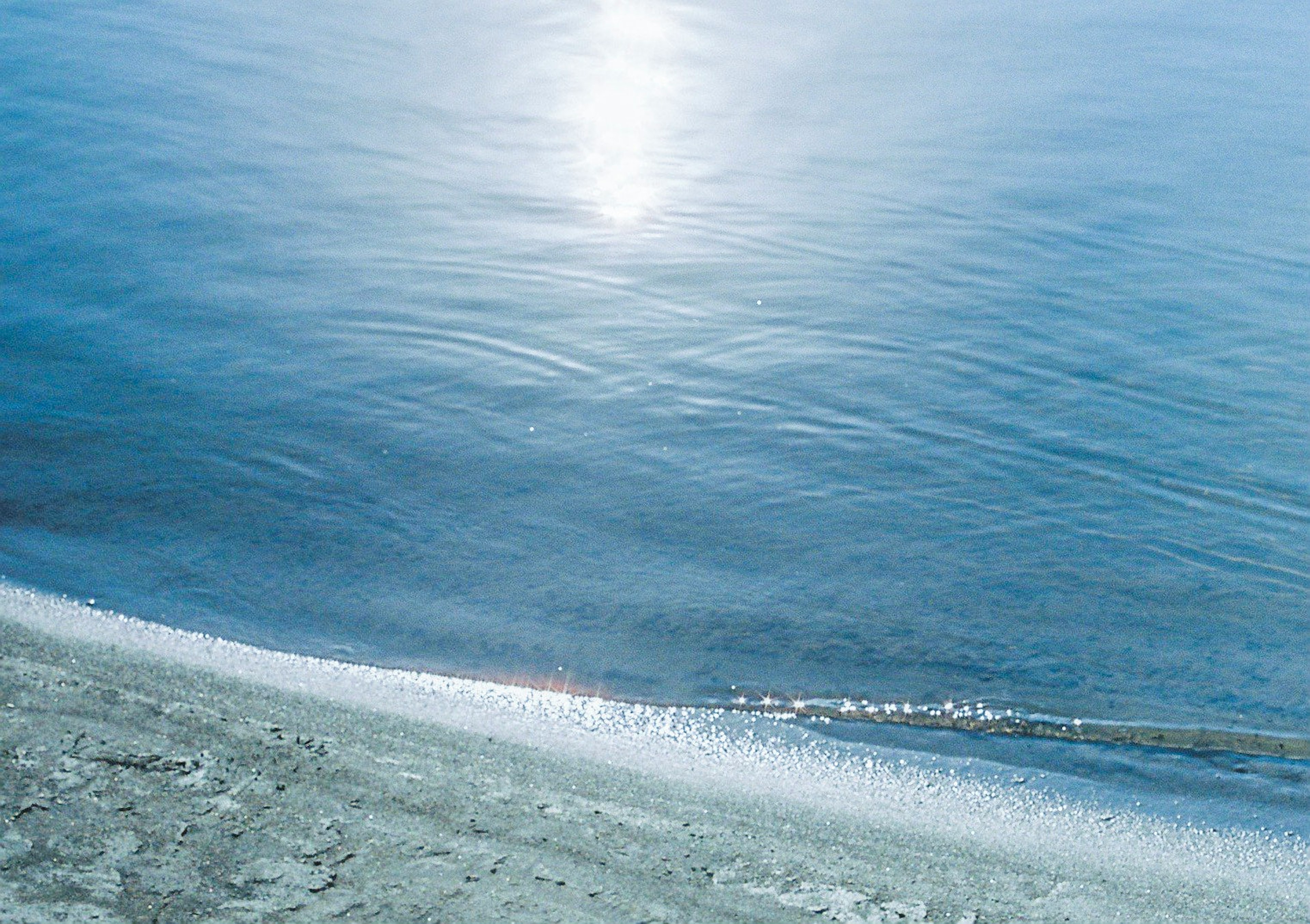 穏やかな青い海と白い砂浜の風景