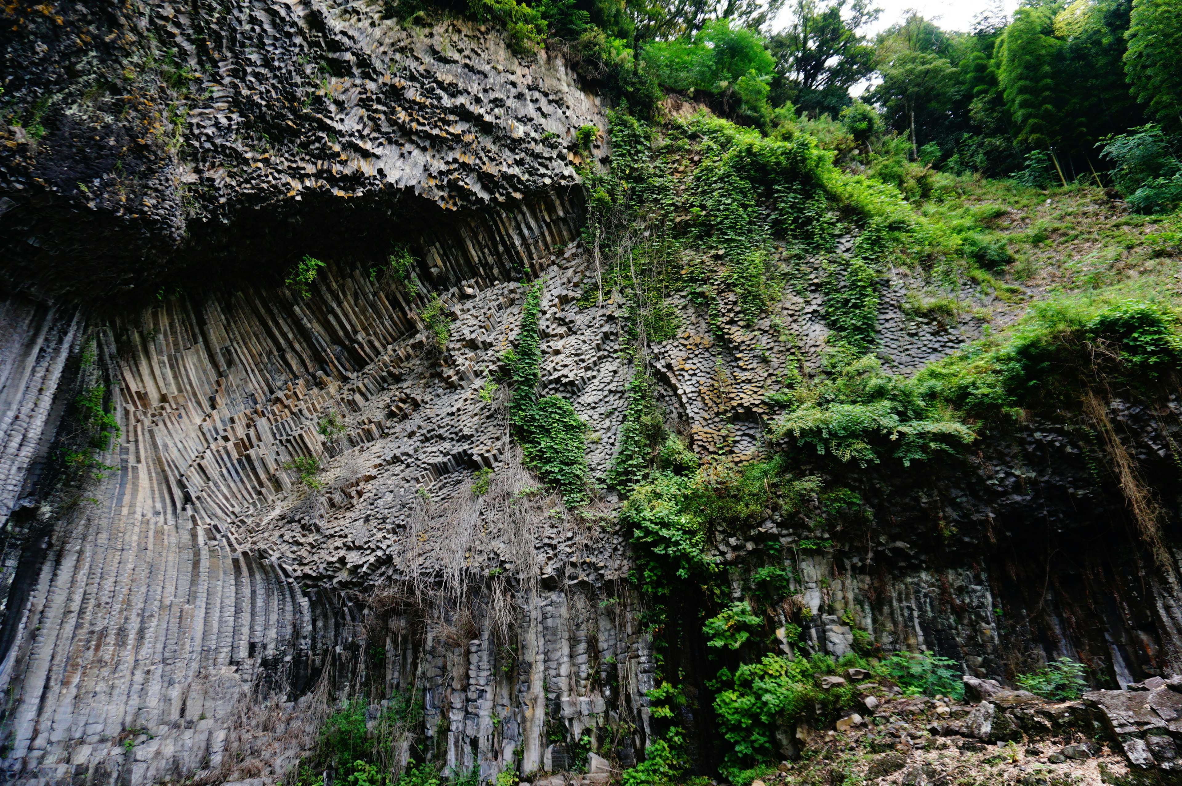 Schöne Felswand mit üppigem Grün und einzigartigen geologischen Formationen