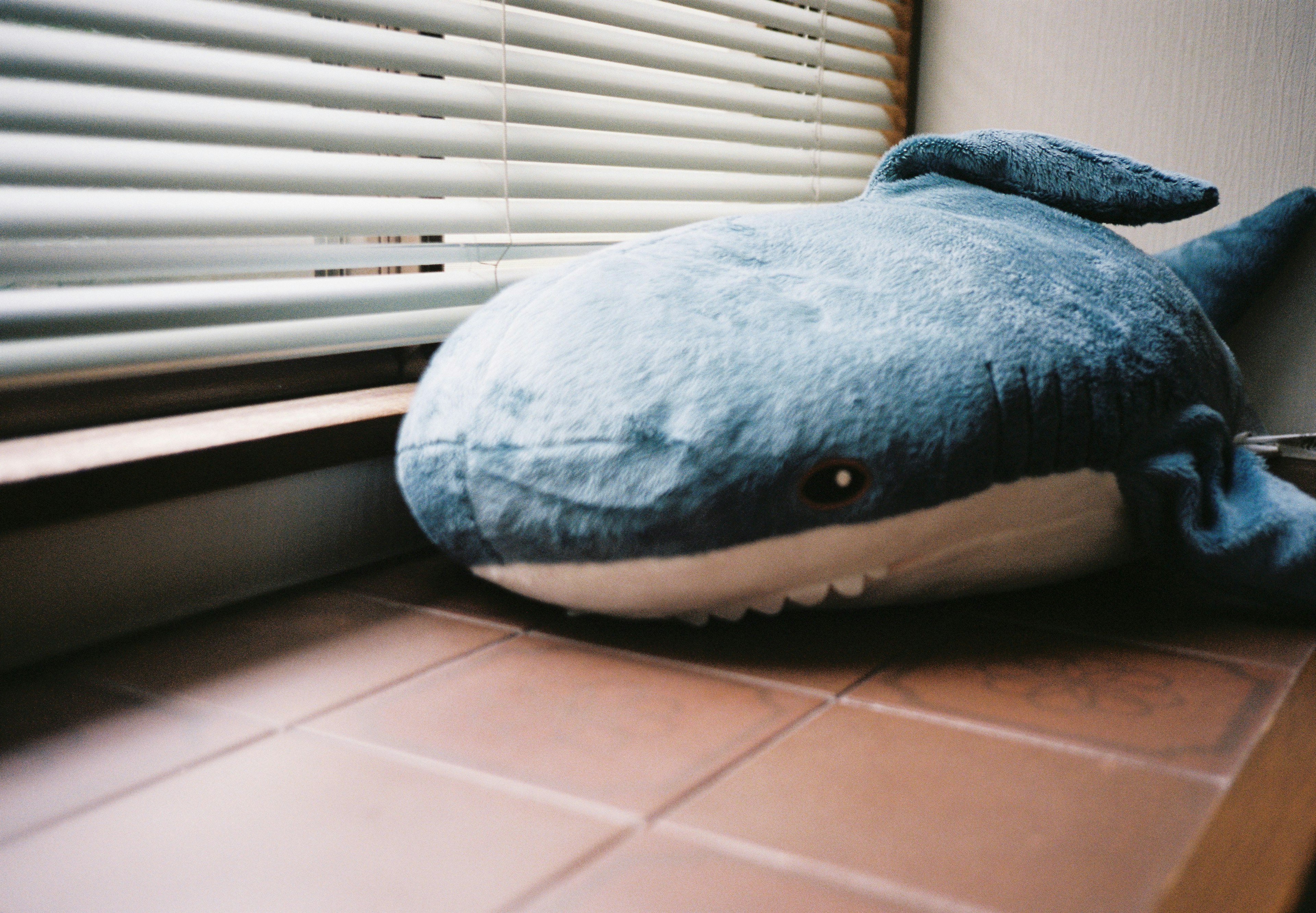 Un juguete de peluche de ballena azul descansando junto a la ventana