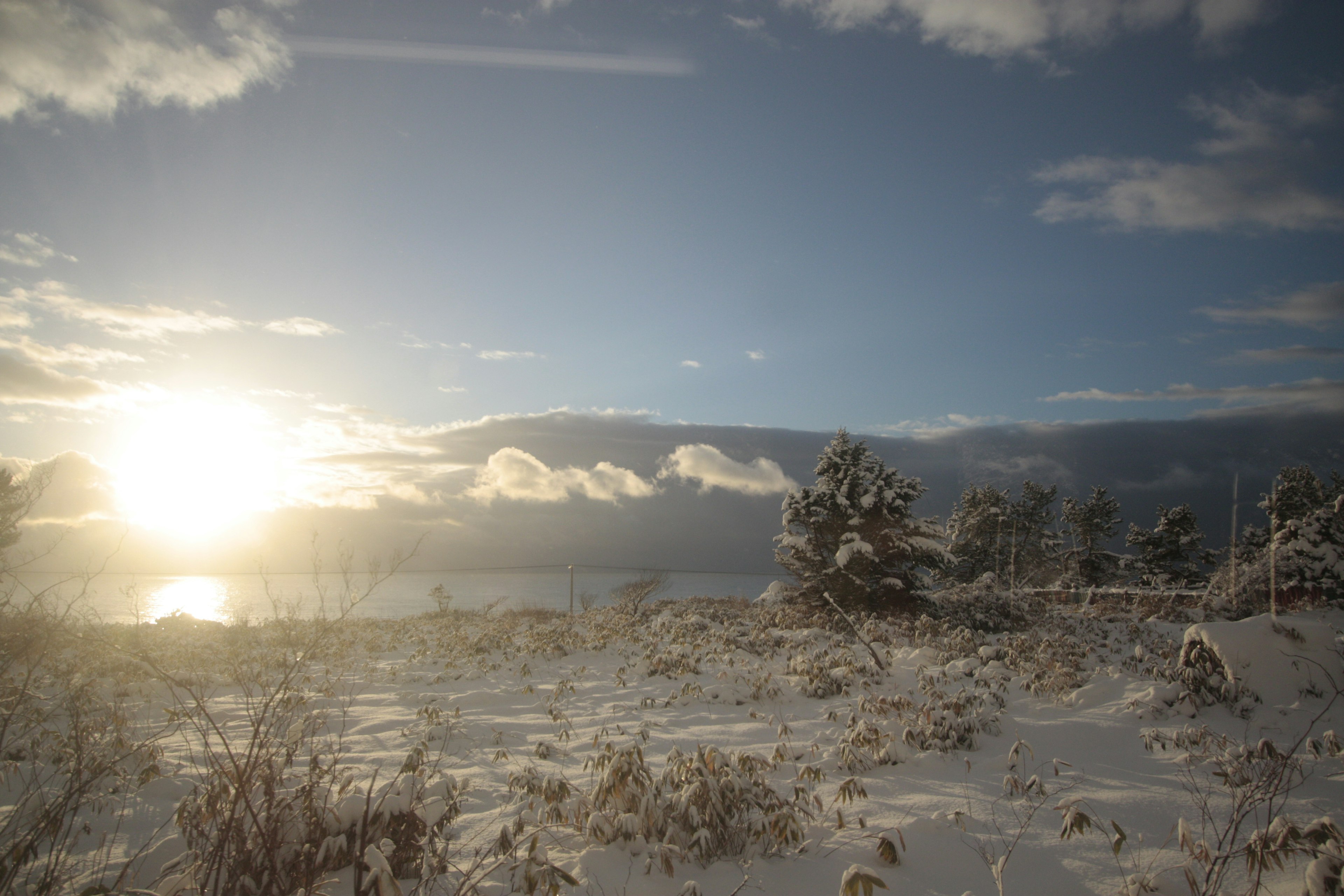 Paisaje cubierto de nieve con luz solar brillante