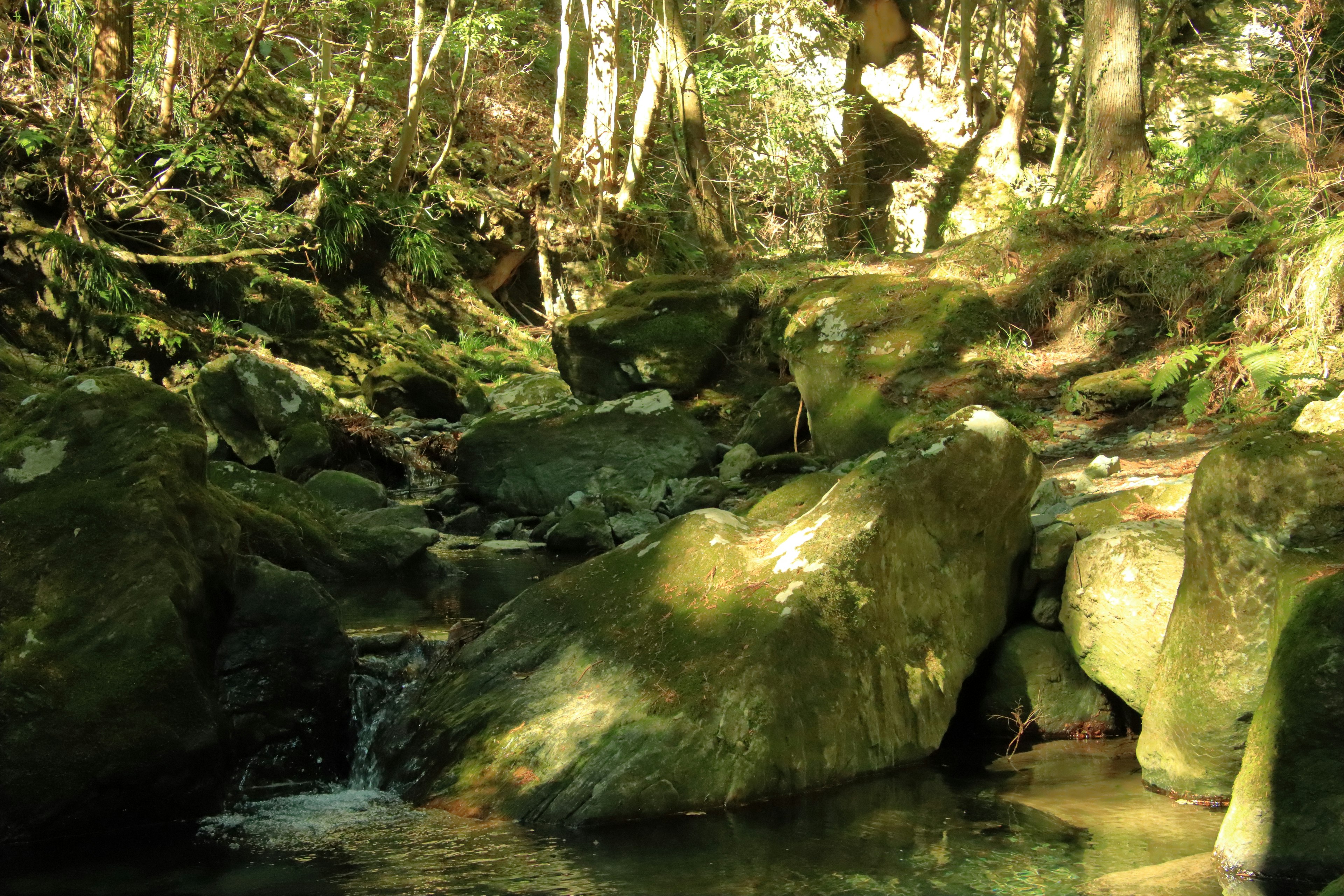 Paesaggio naturale con rocce coperte di vegetazione e acqua che scorre