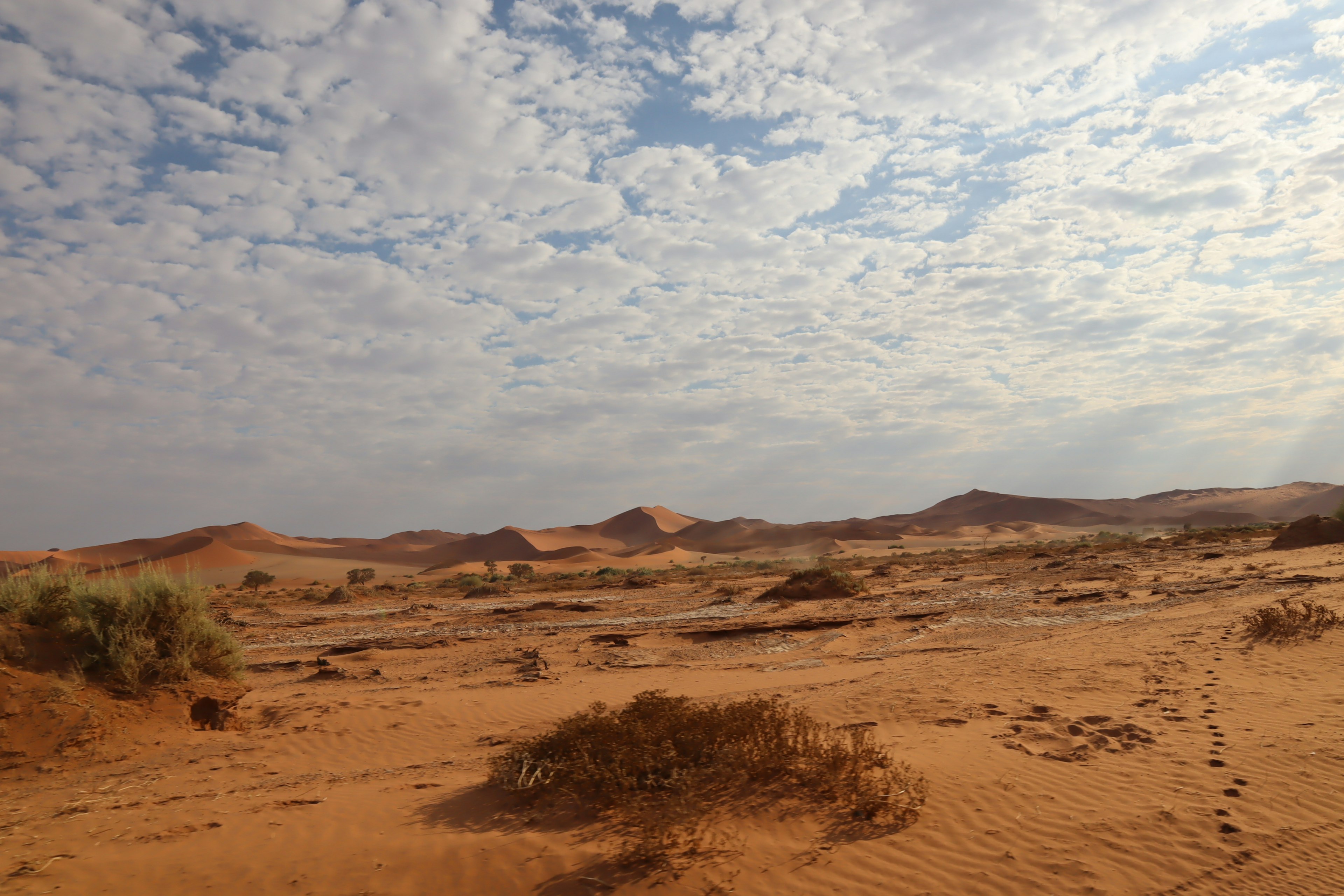 Vast desert landscape with blue sky and white clouds