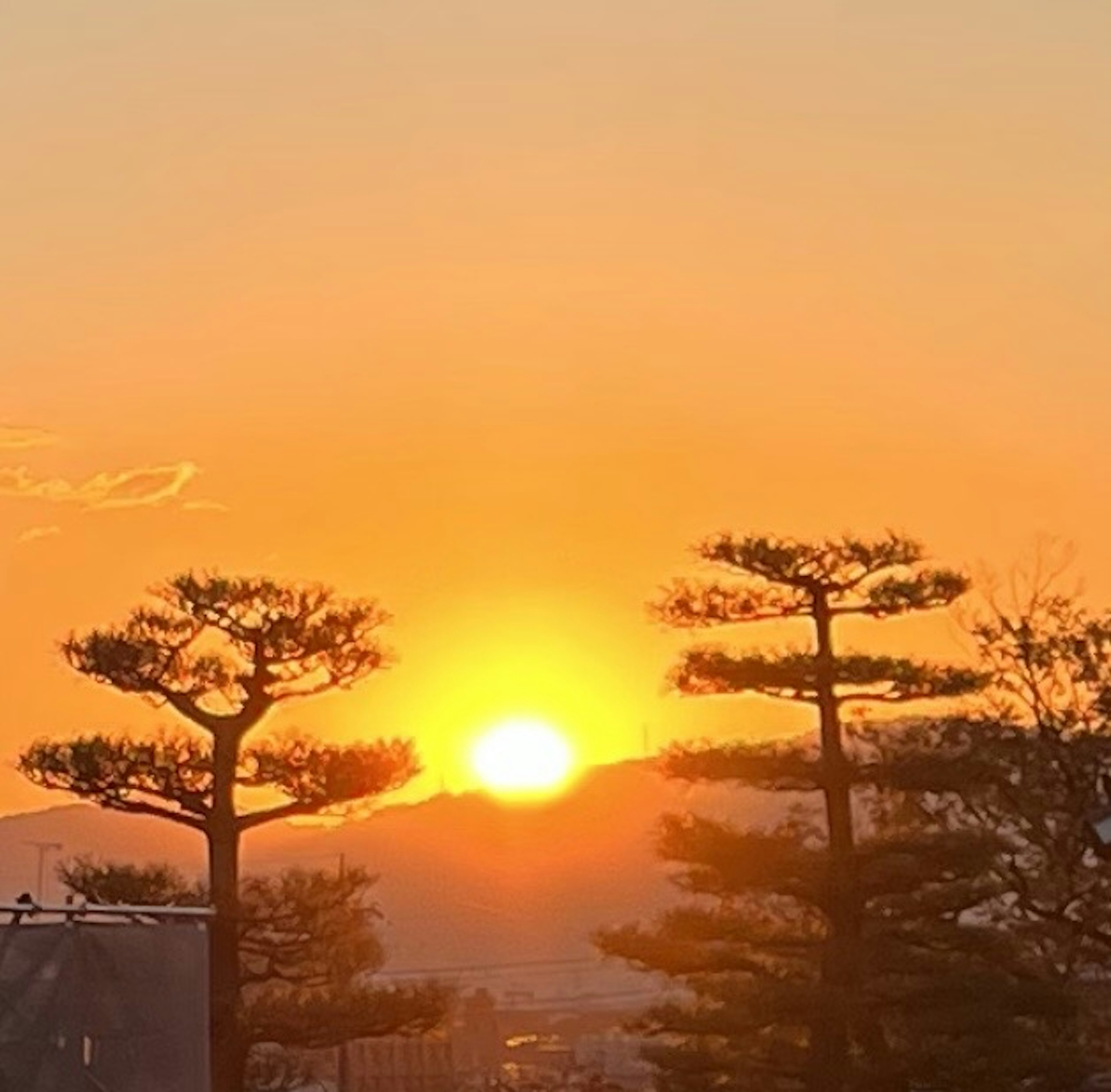 Sonnenuntergang hinter Bergen mit silhouettierten Kiefern