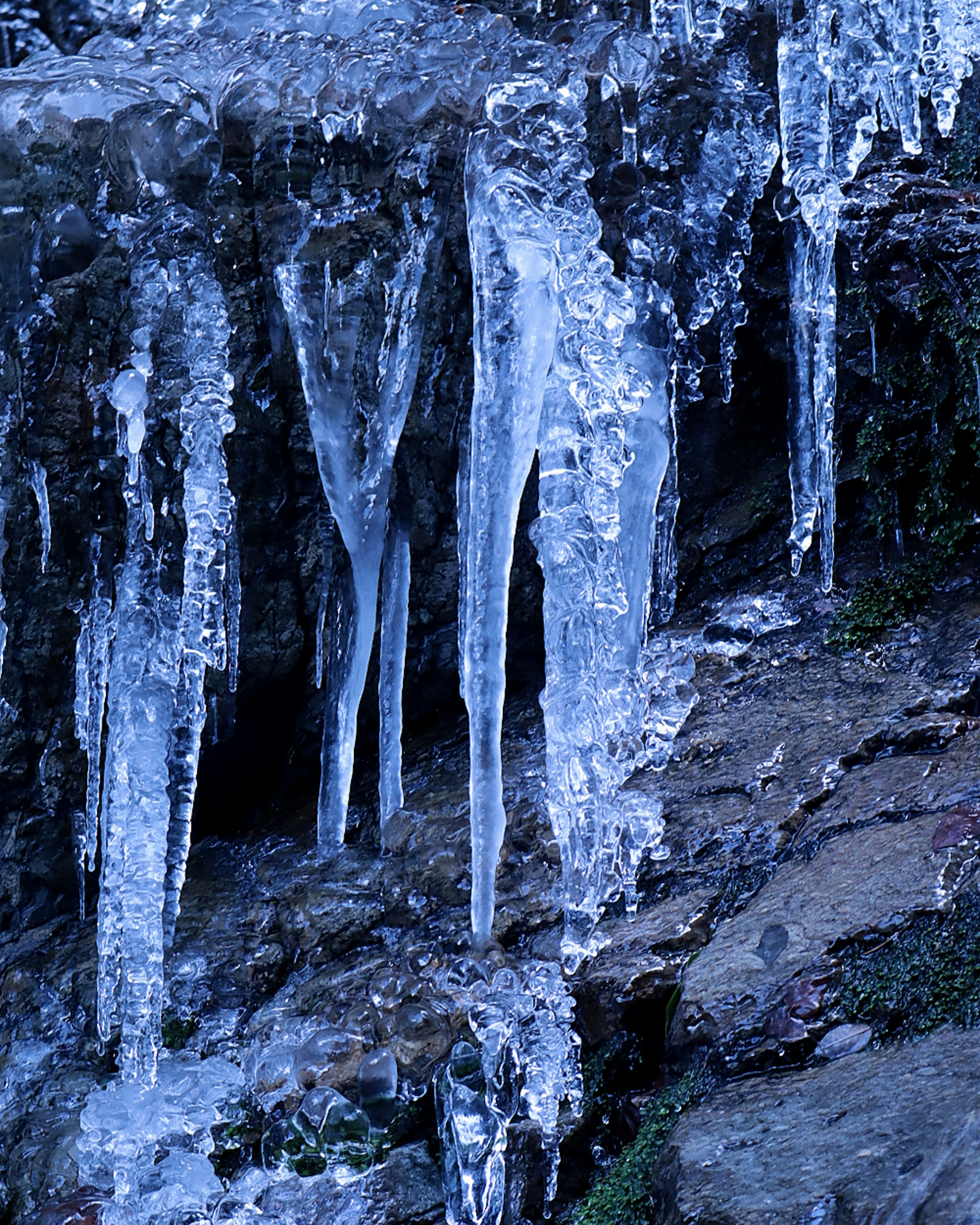 Carámbanos colgando de rocas en un paisaje invernal