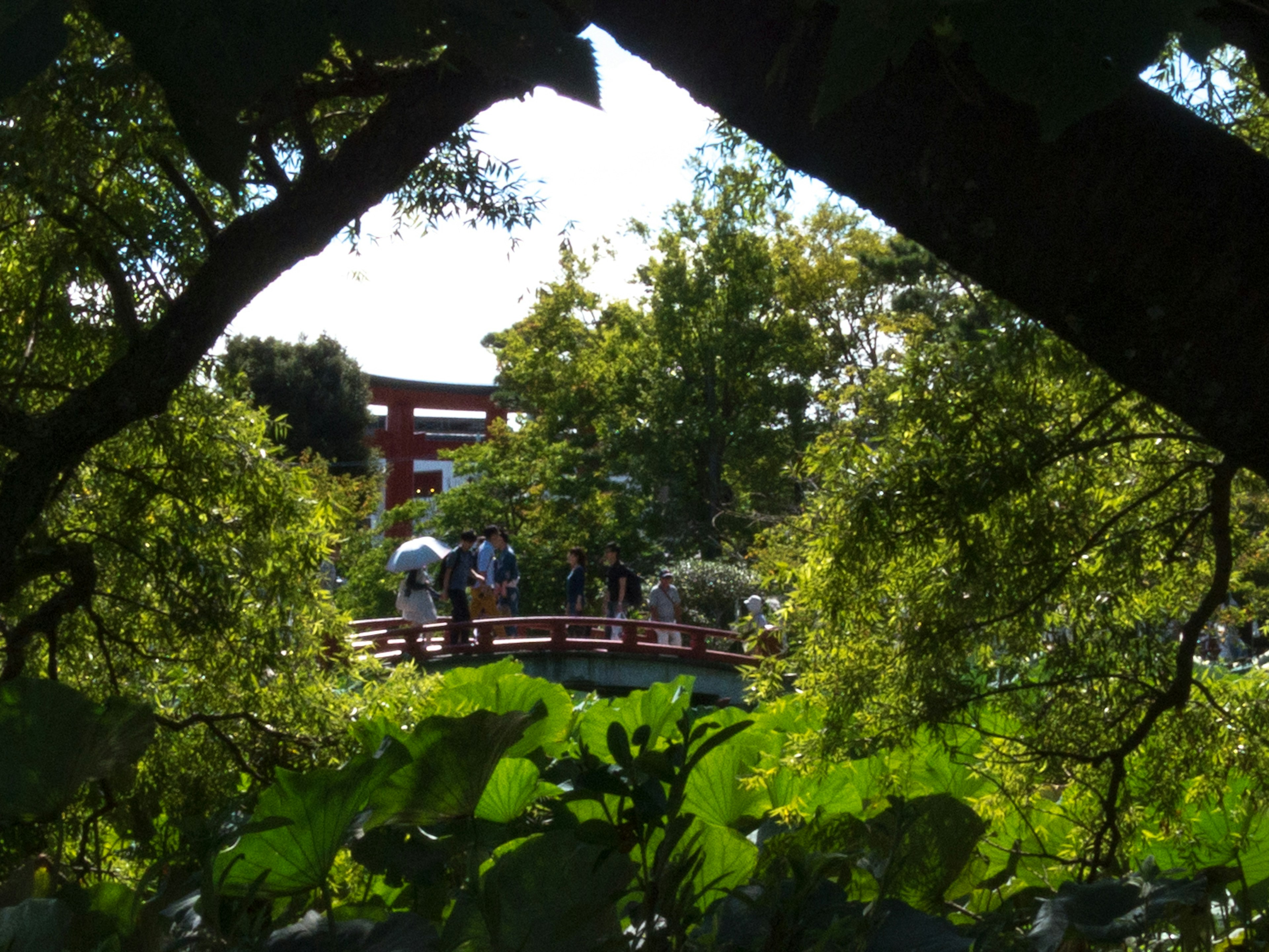 Vista di un ponte e di persone attraverso alberi verdi