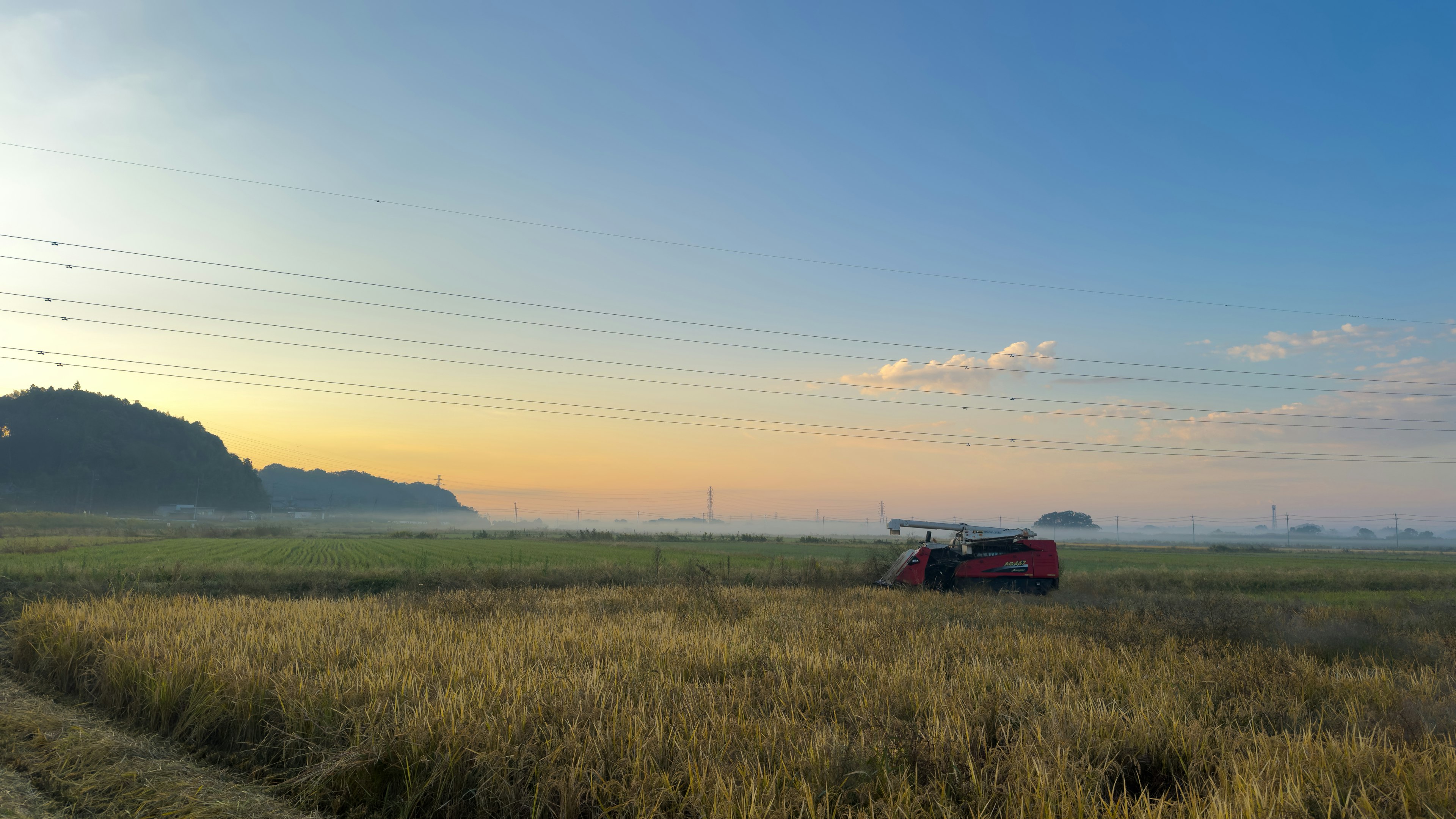 Cosechadora roja trabajando en un campo de arroz al atardecer