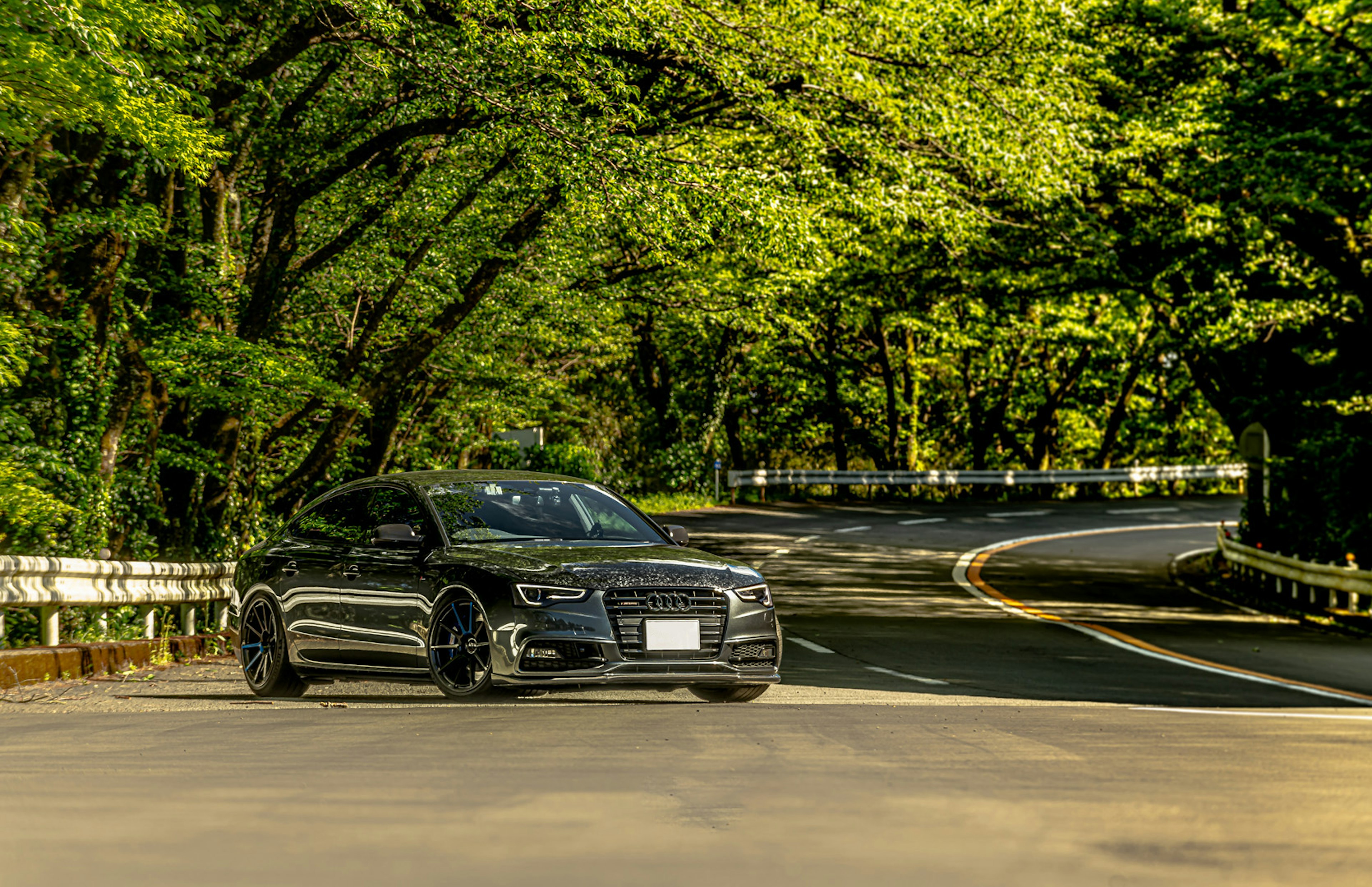 Black car on a winding road surrounded by lush greenery