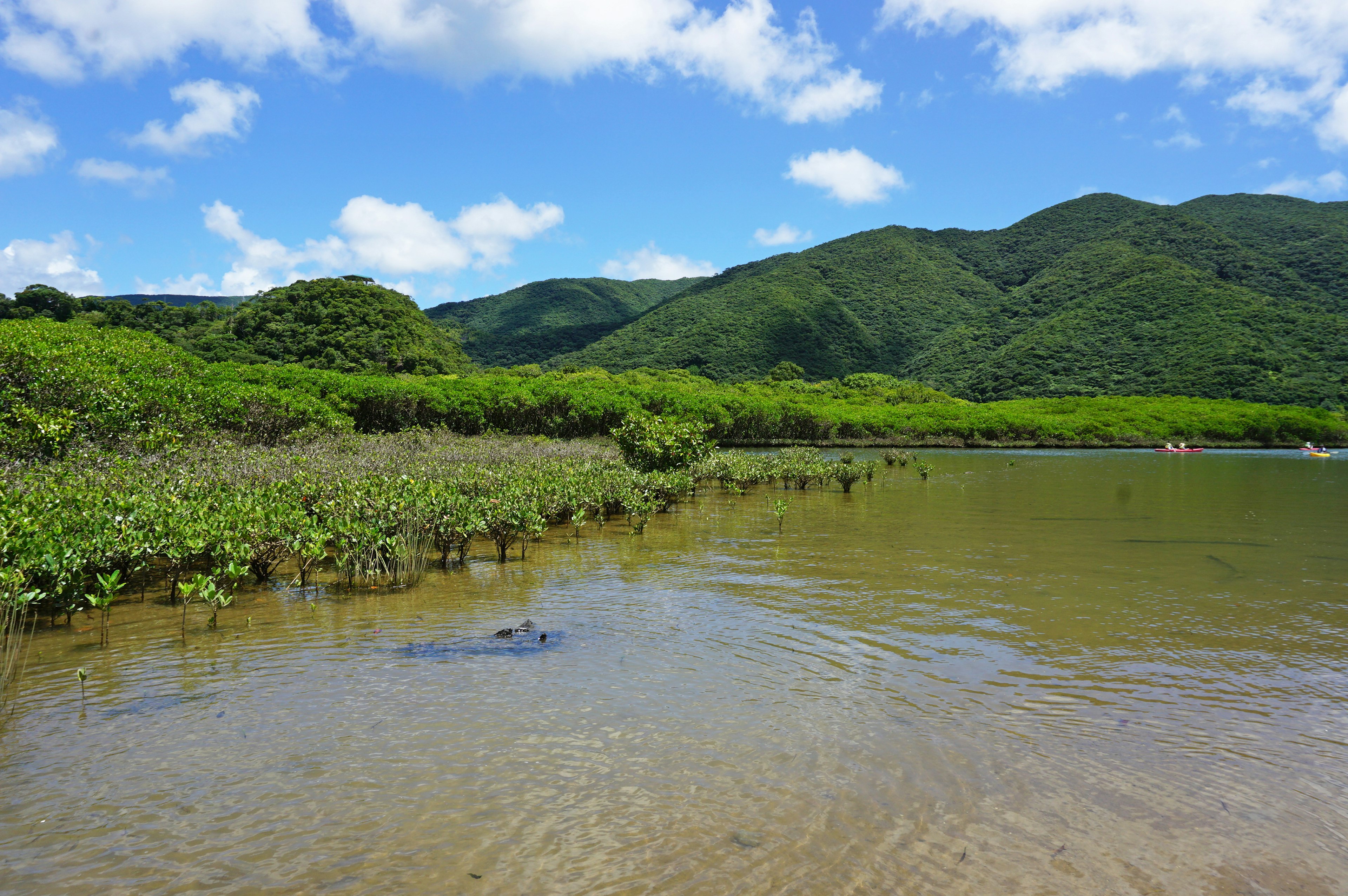 青い空と緑豊かな山々に囲まれた静かな水辺の風景