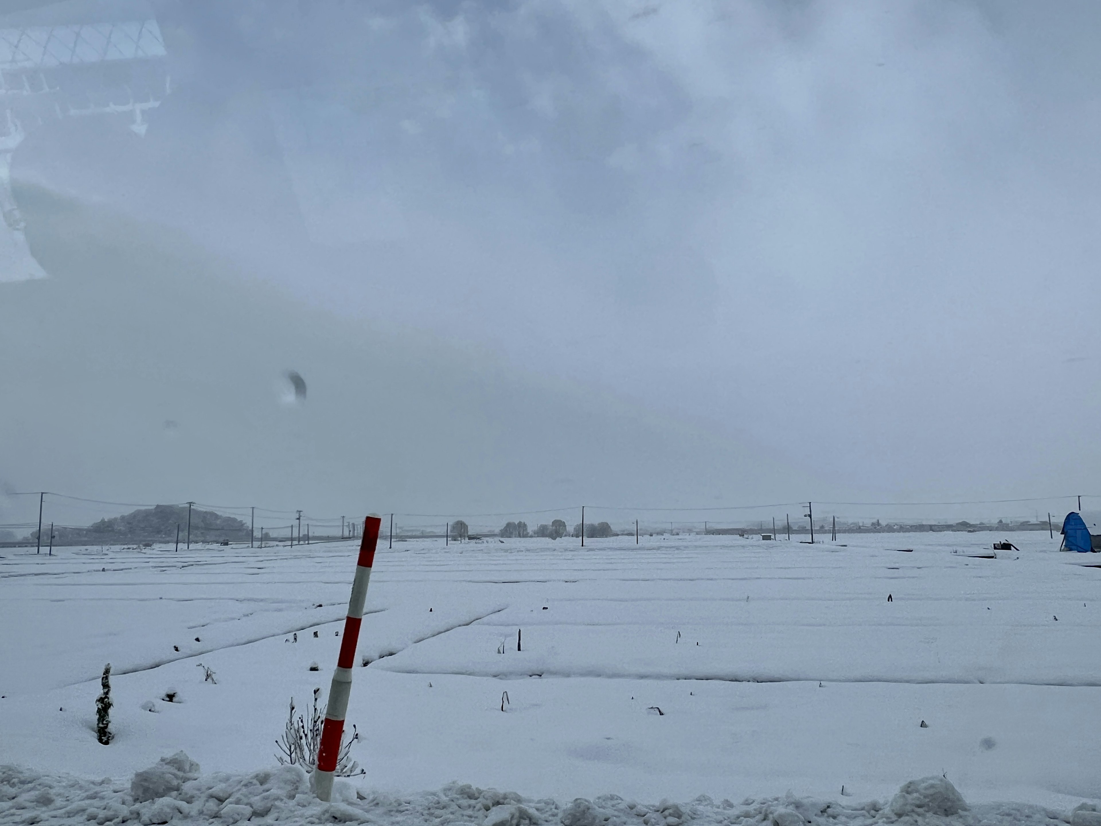 广阔的雪覆盖的田野和阴云密布的天空