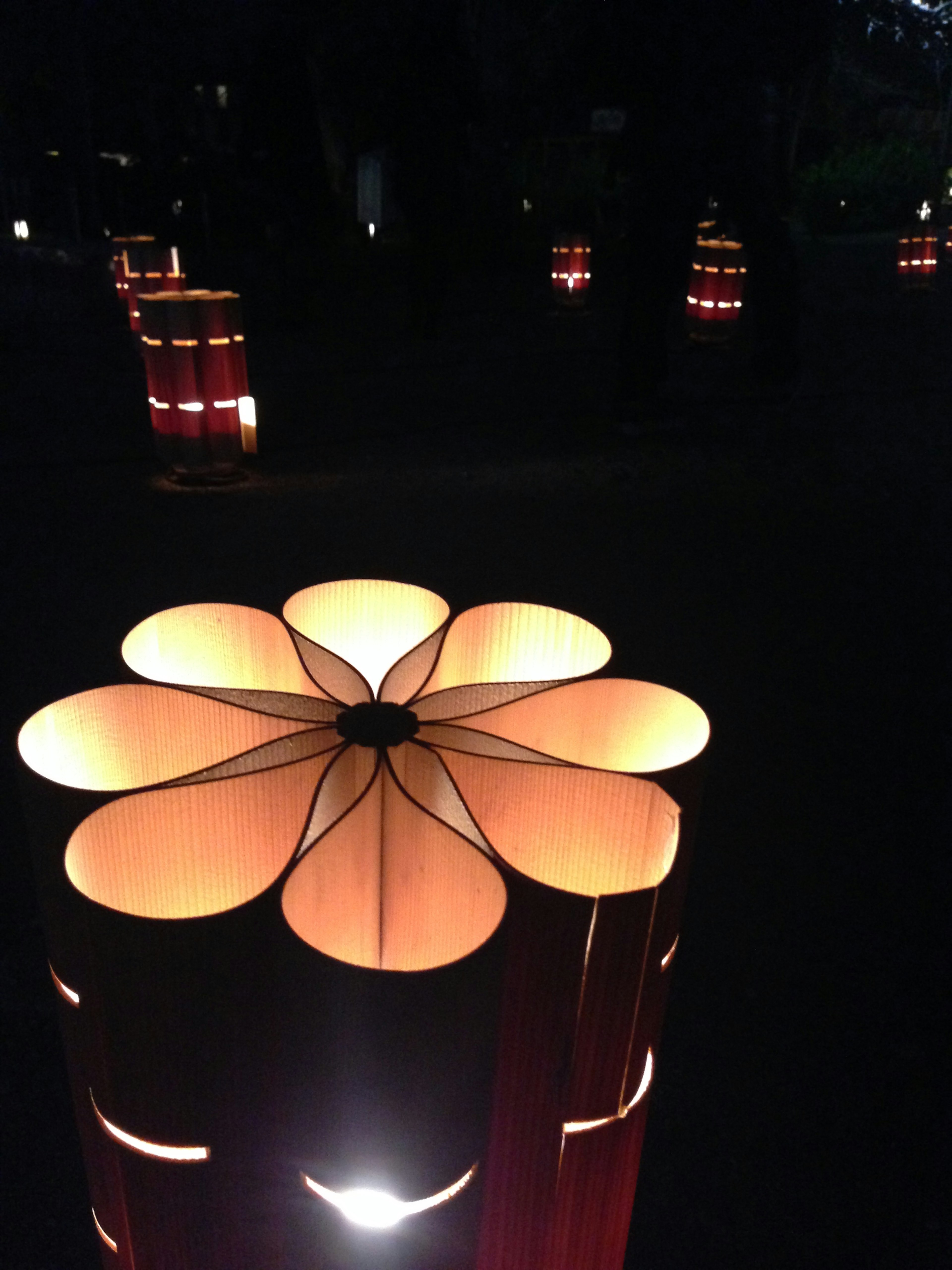 Linternas en forma de flor iluminadas contra un fondo oscuro