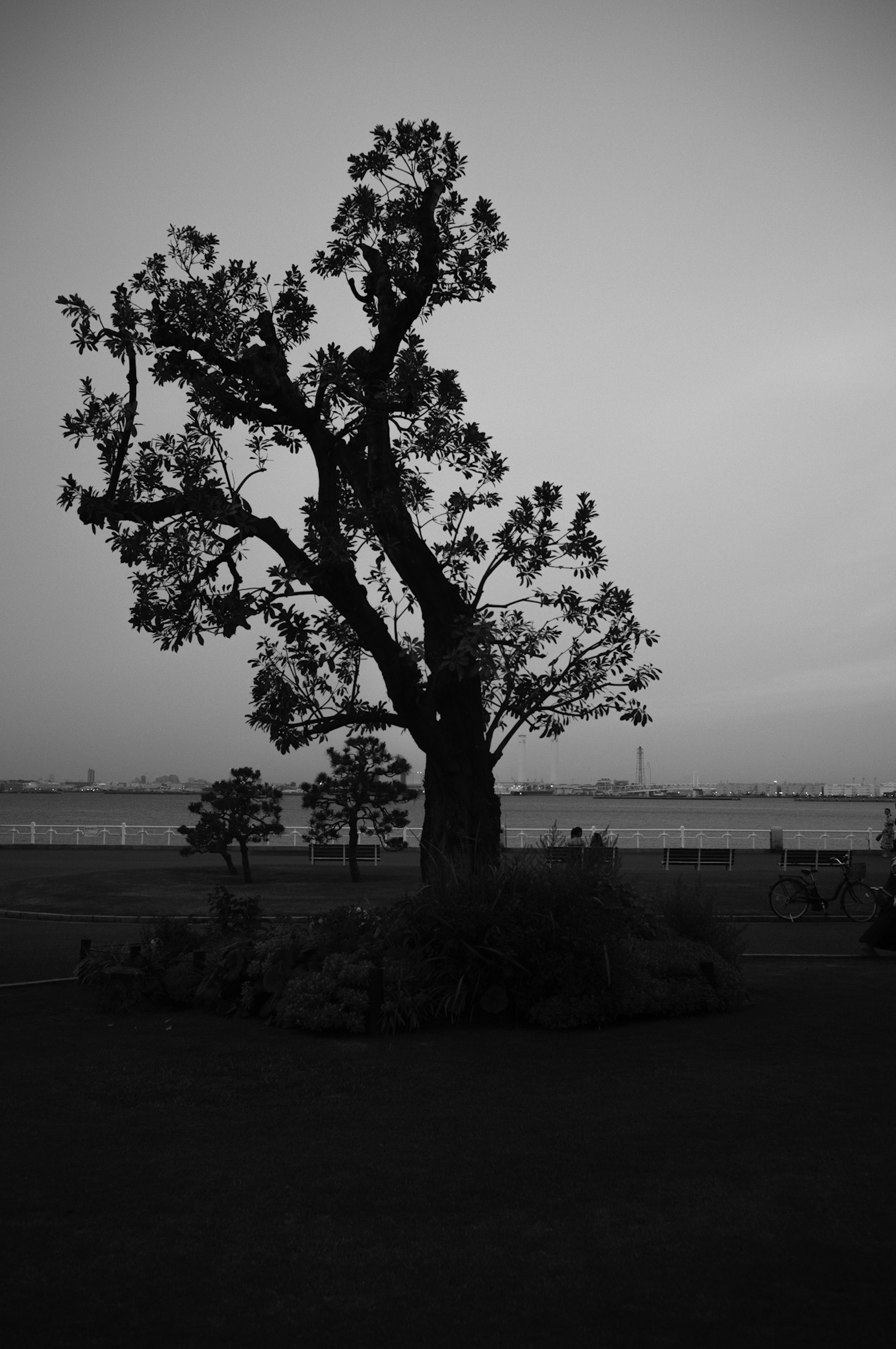 photo-asf1mF2bEfwH9w4Kc98G-image