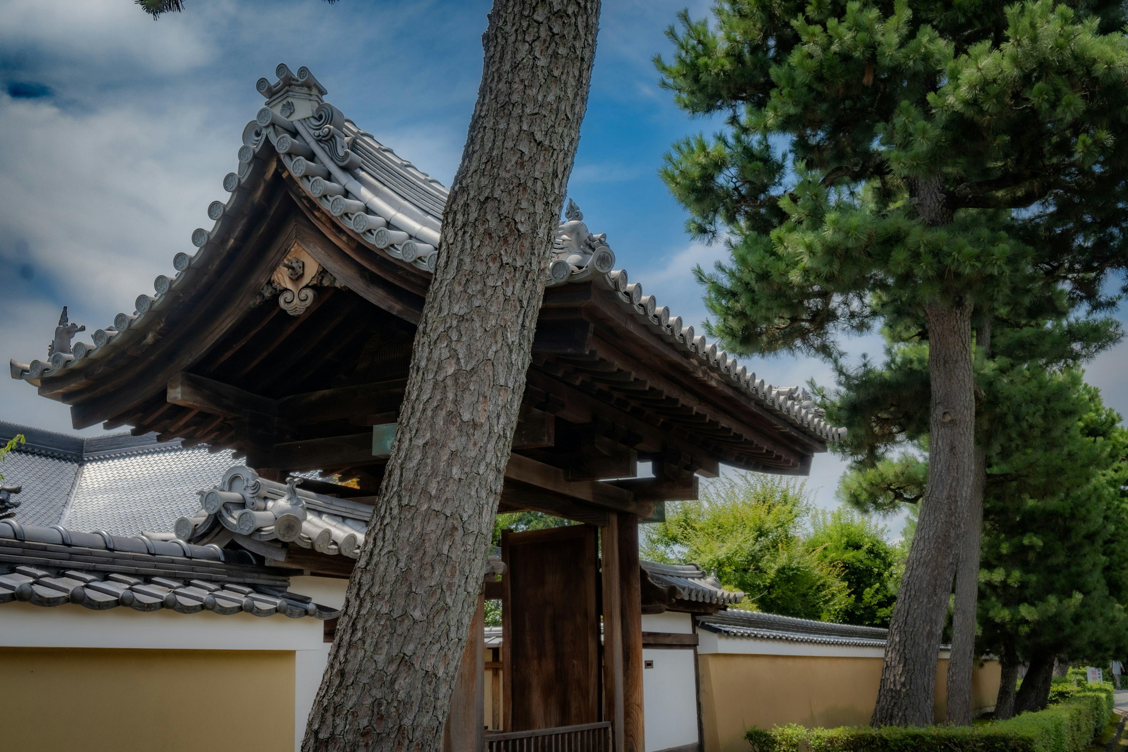 伝統的な日本の門と松の木が見える風景