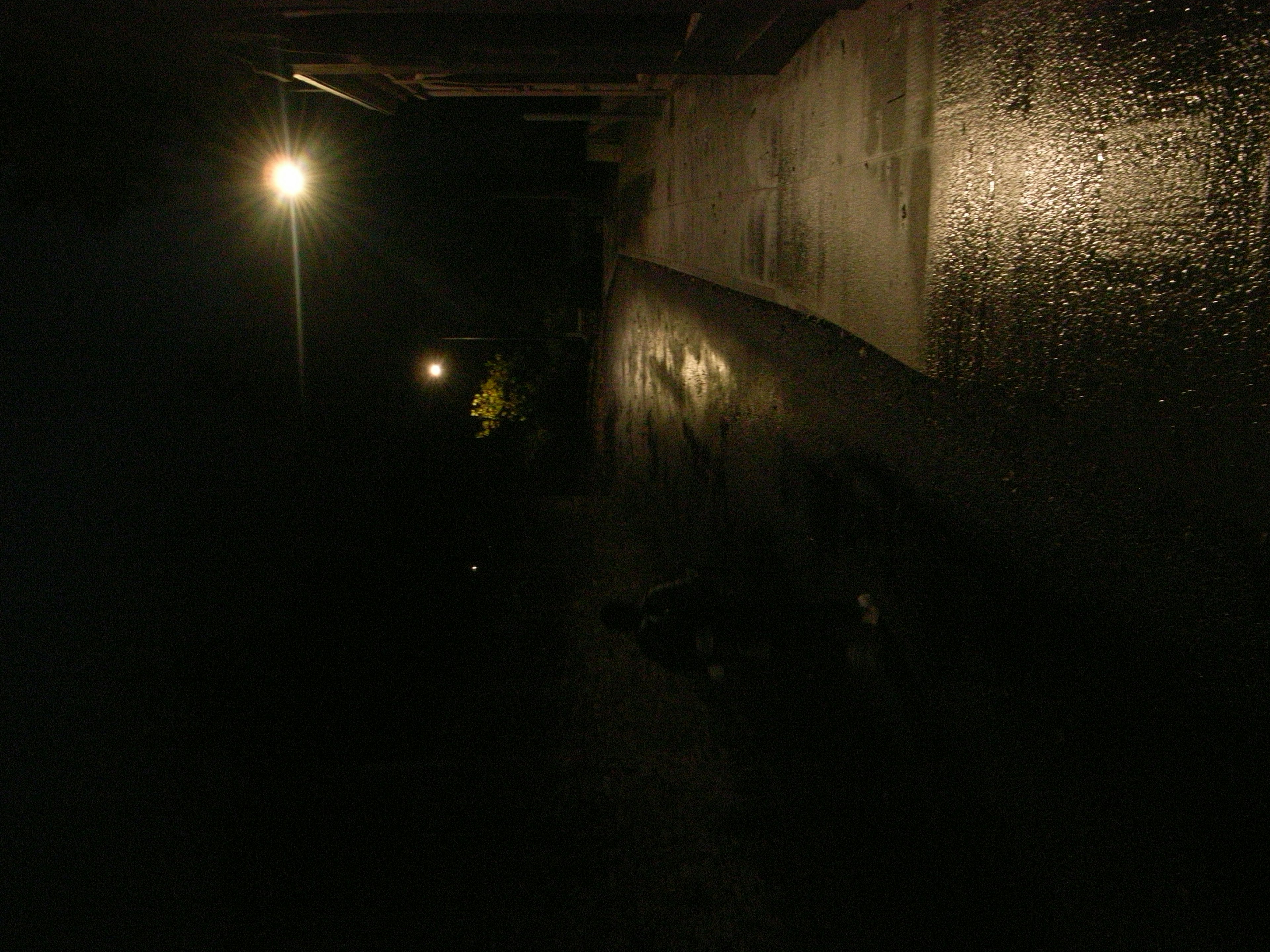 Calle oscura con faroles y pavimento mojado por la lluvia