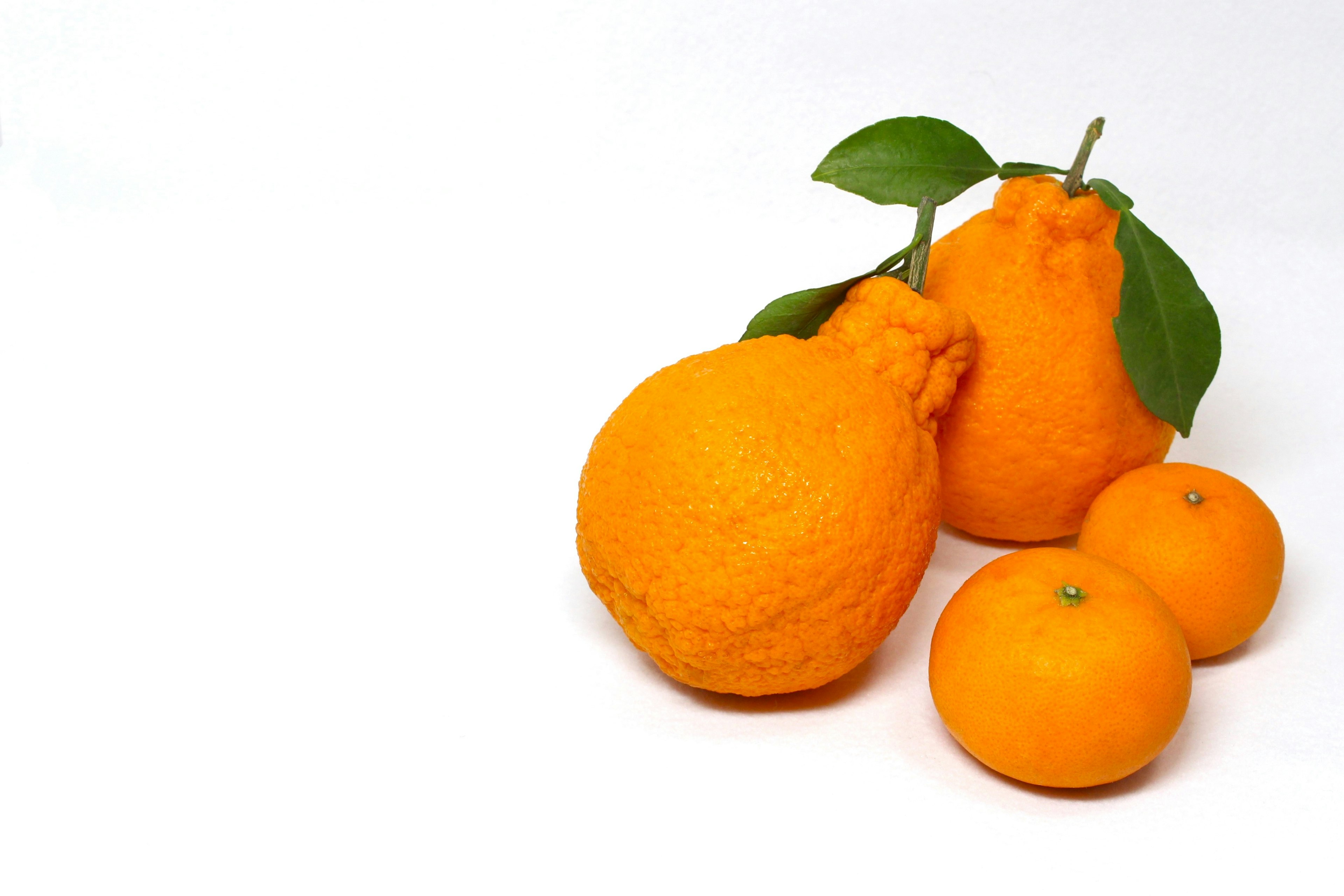 Three oranges with green leaves on a white background