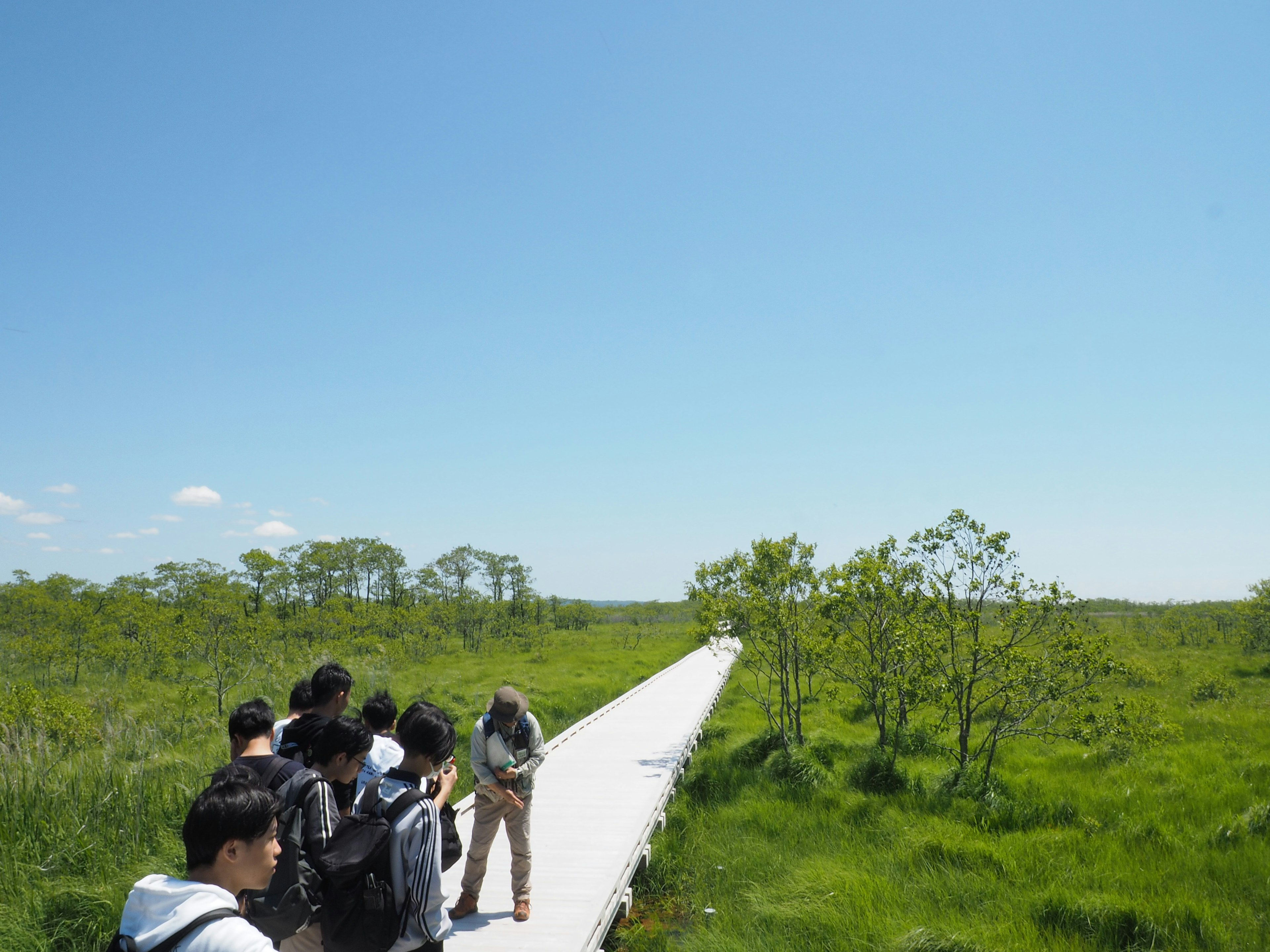 青空の下で湿地帯を歩く人々と緑の植物