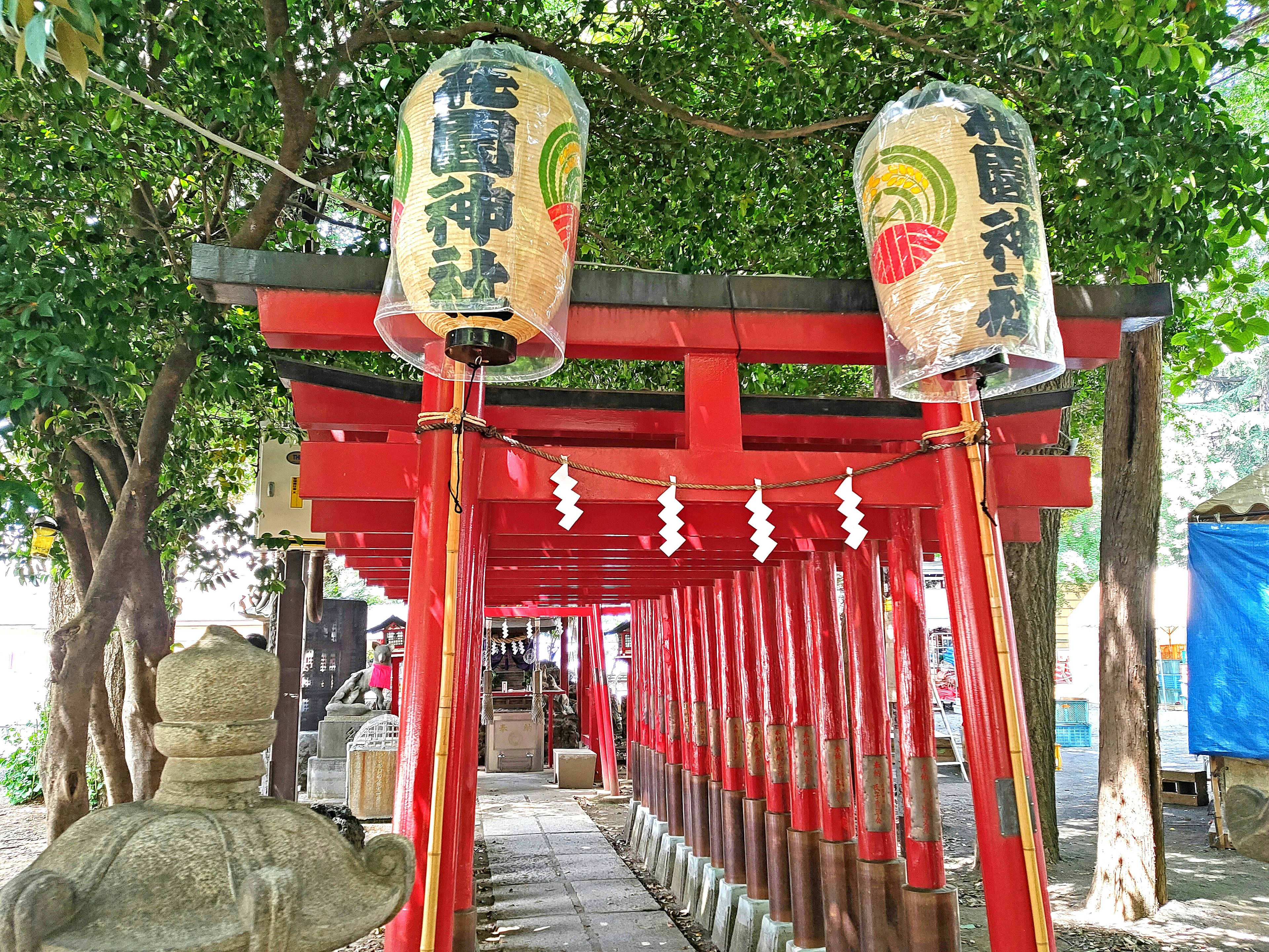 Ingresso di un santuario con porte torii rosse e lanterne