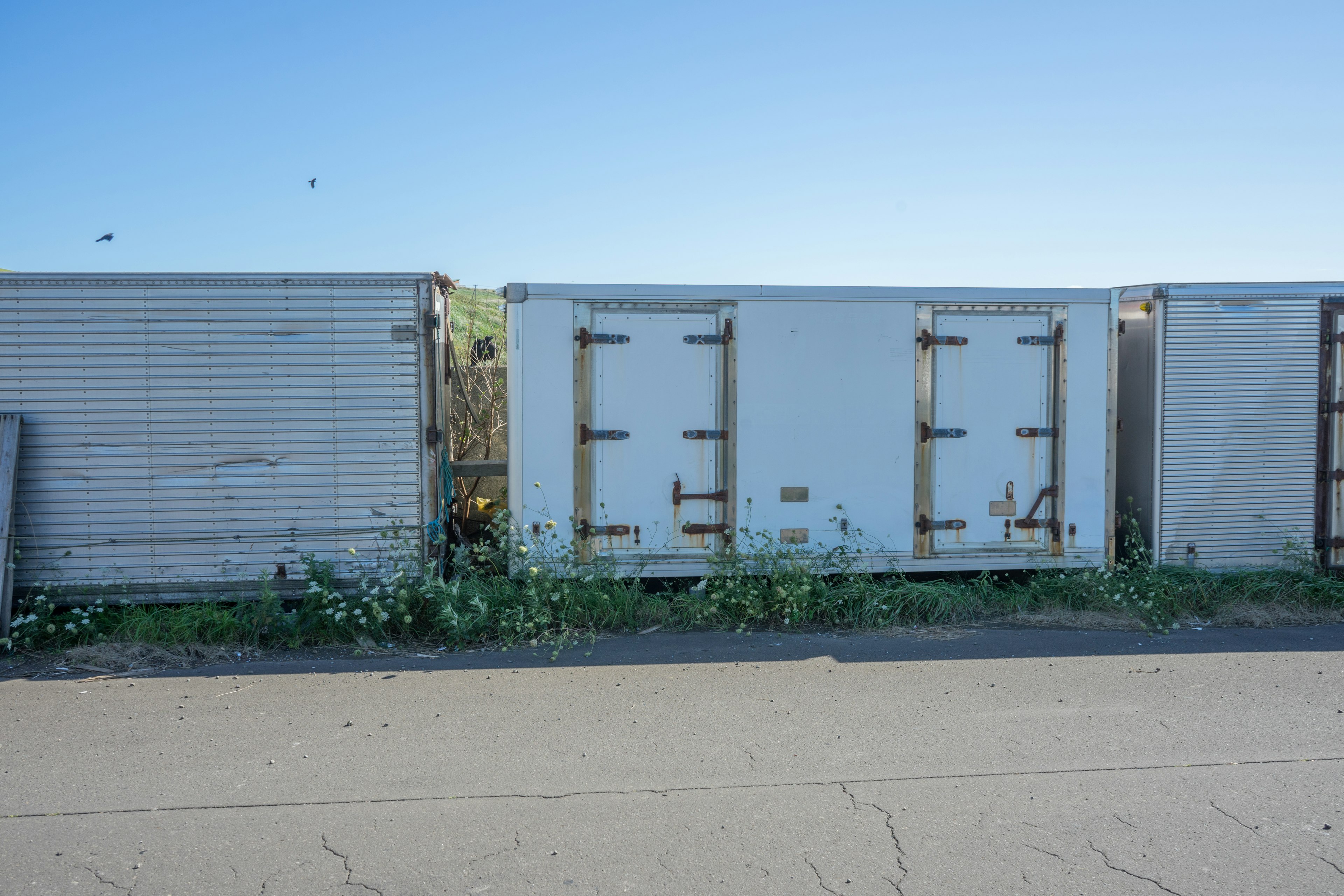 Row of shipping containers including a white refrigerated container