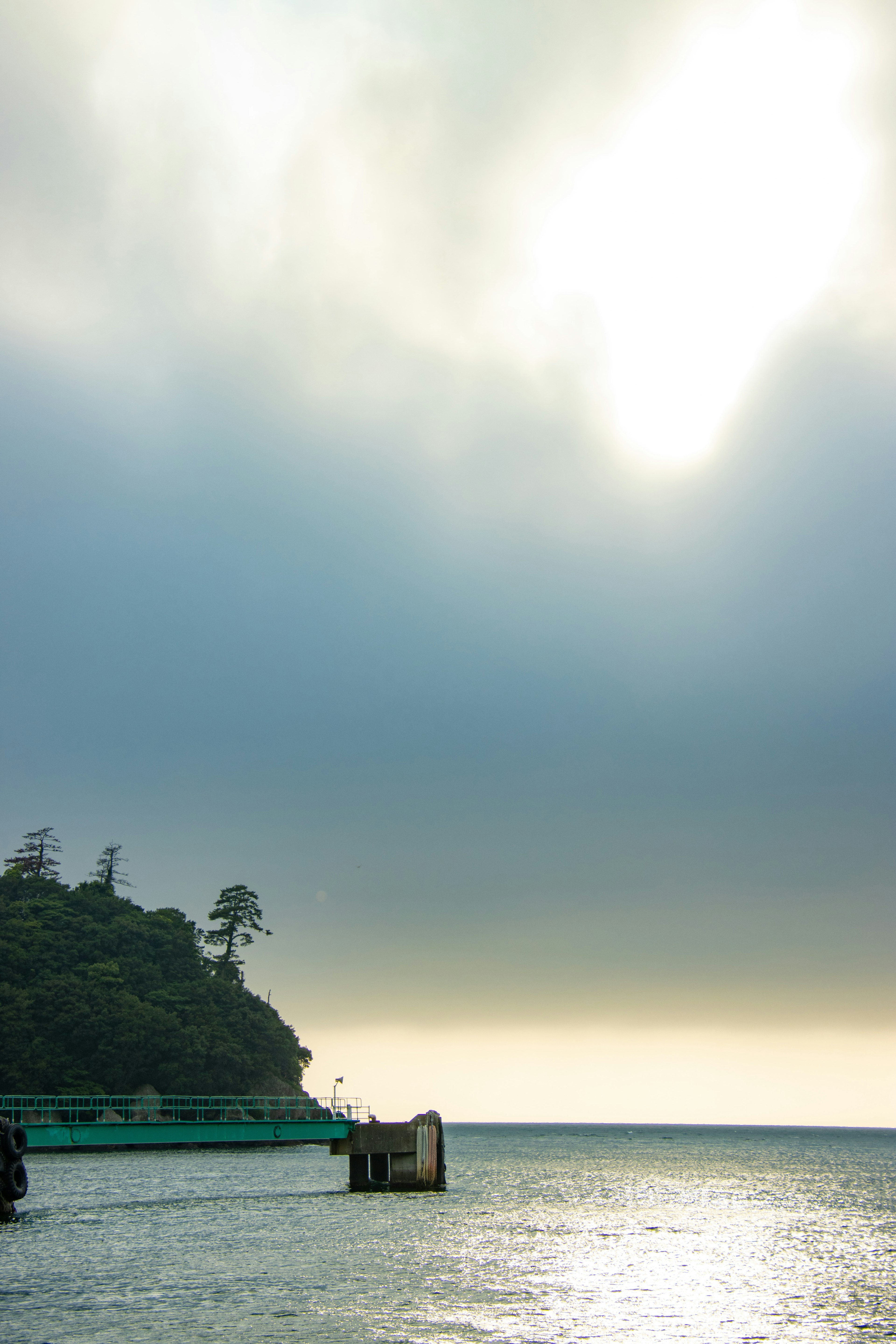 海と霧の中の桟橋と木々のある景色