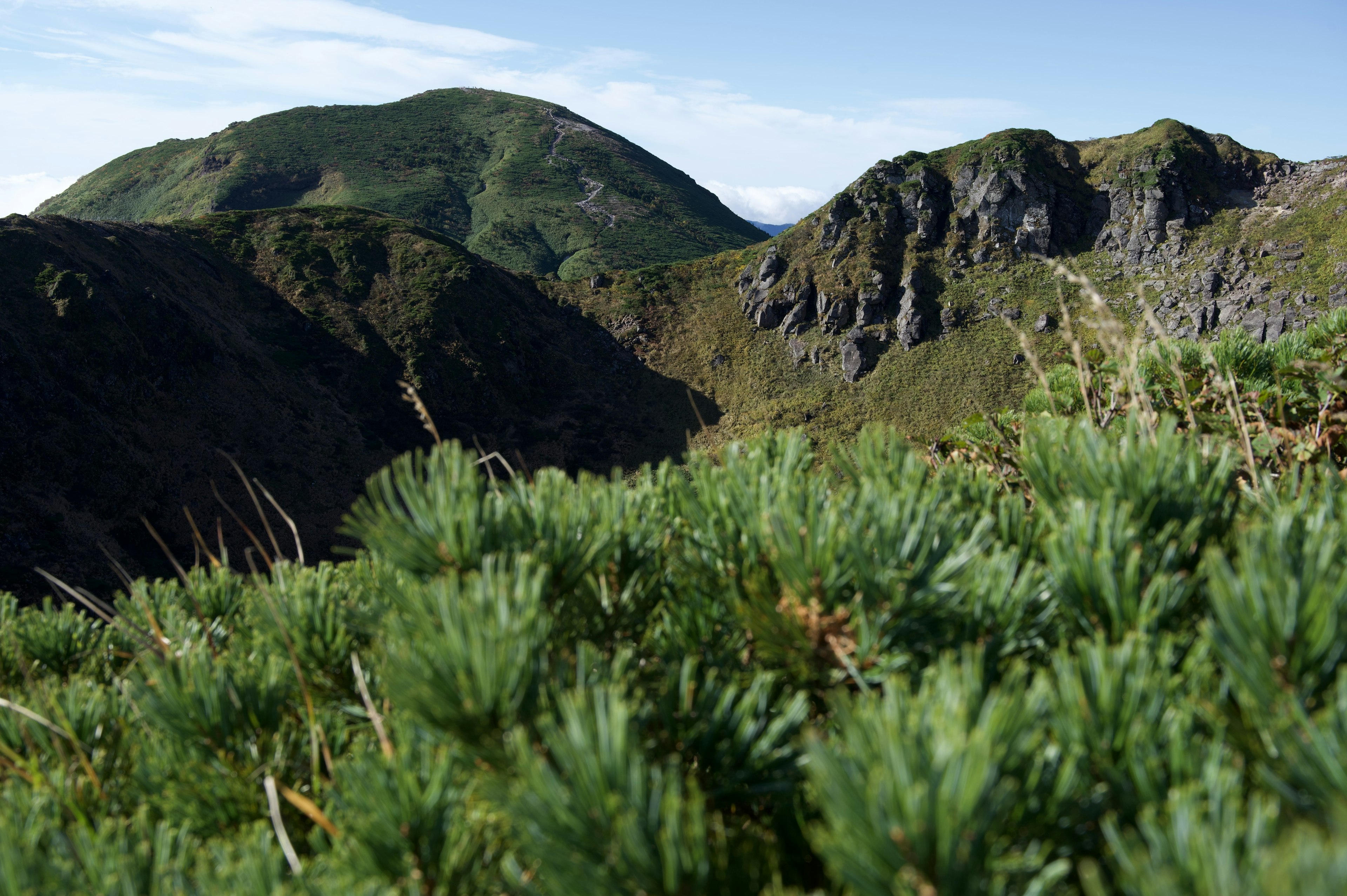 緑の植物が手前にあり、遠くに山が見える風景