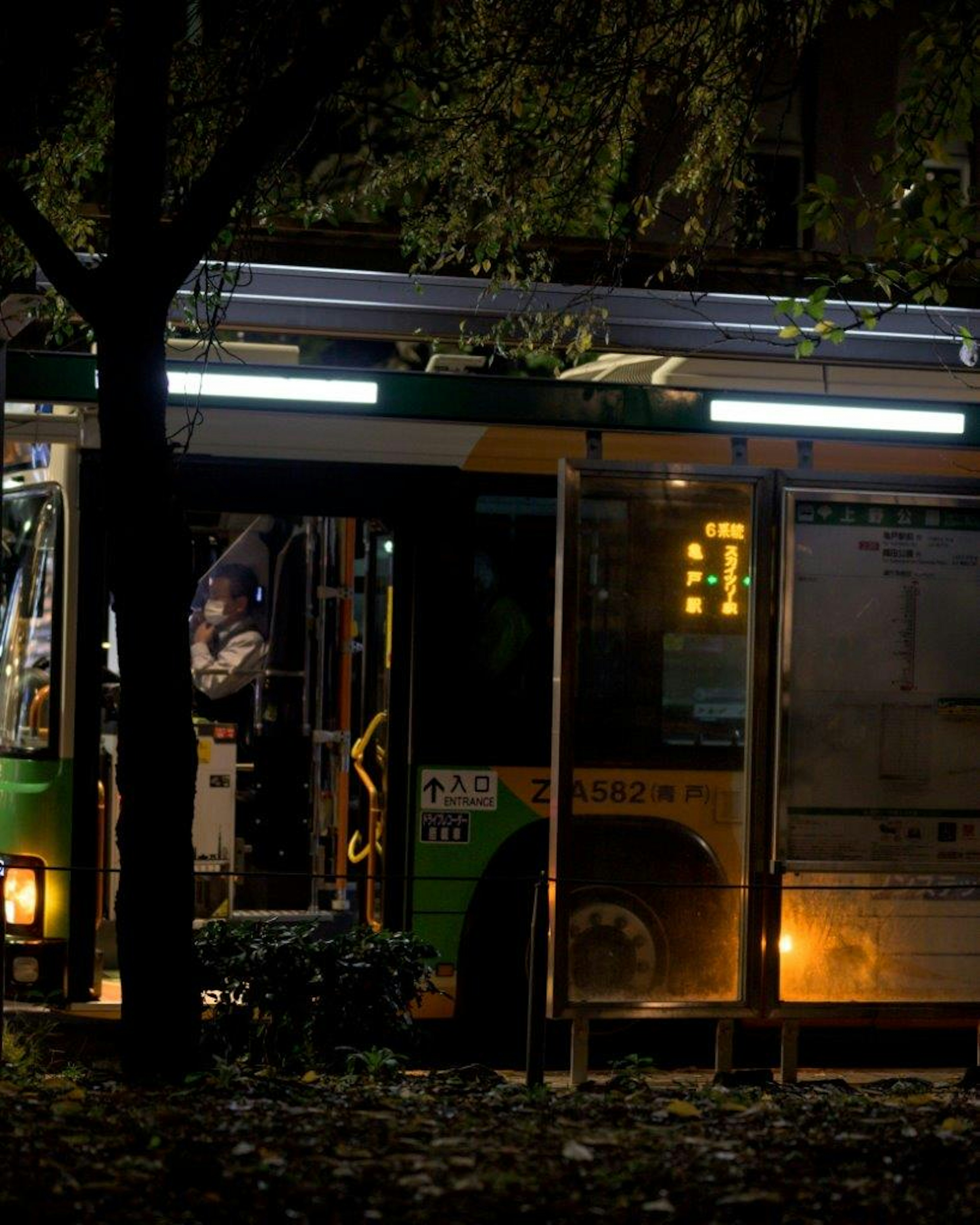 暗い中で停車中の緑色のバスと周囲の木々