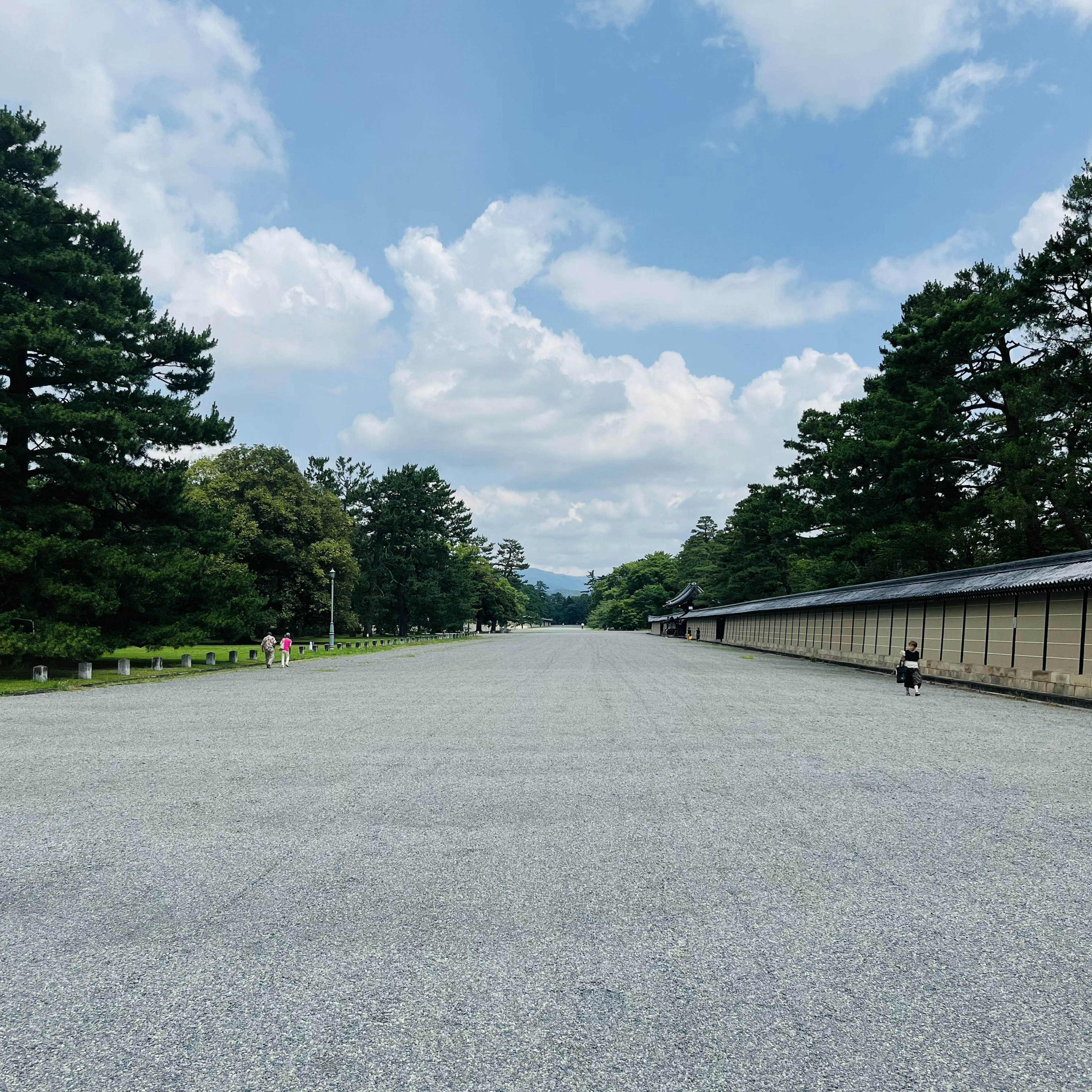 青空の下の広大な石畳の通りと周囲の木々