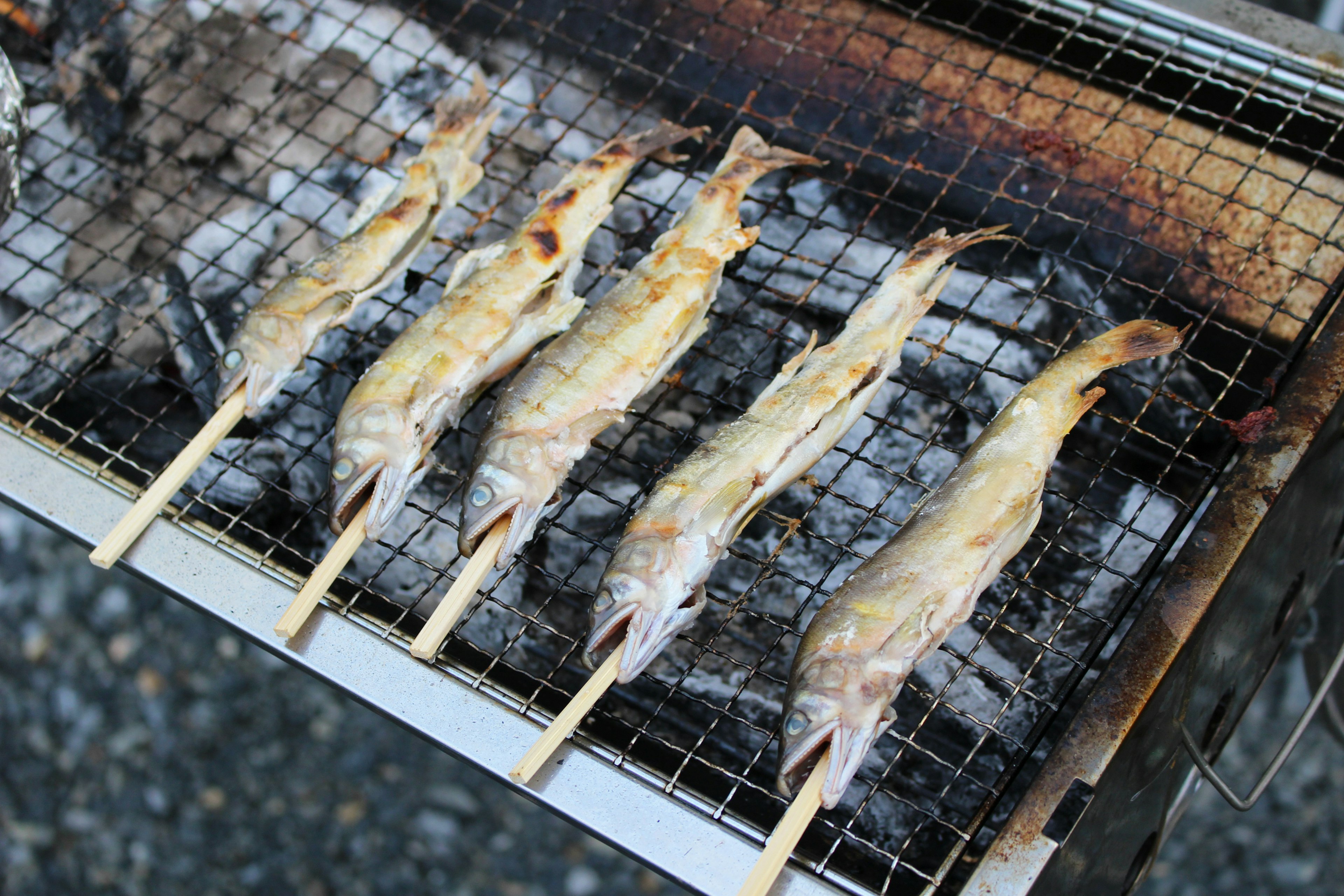 Spiedini di pesce grigliati su carbone