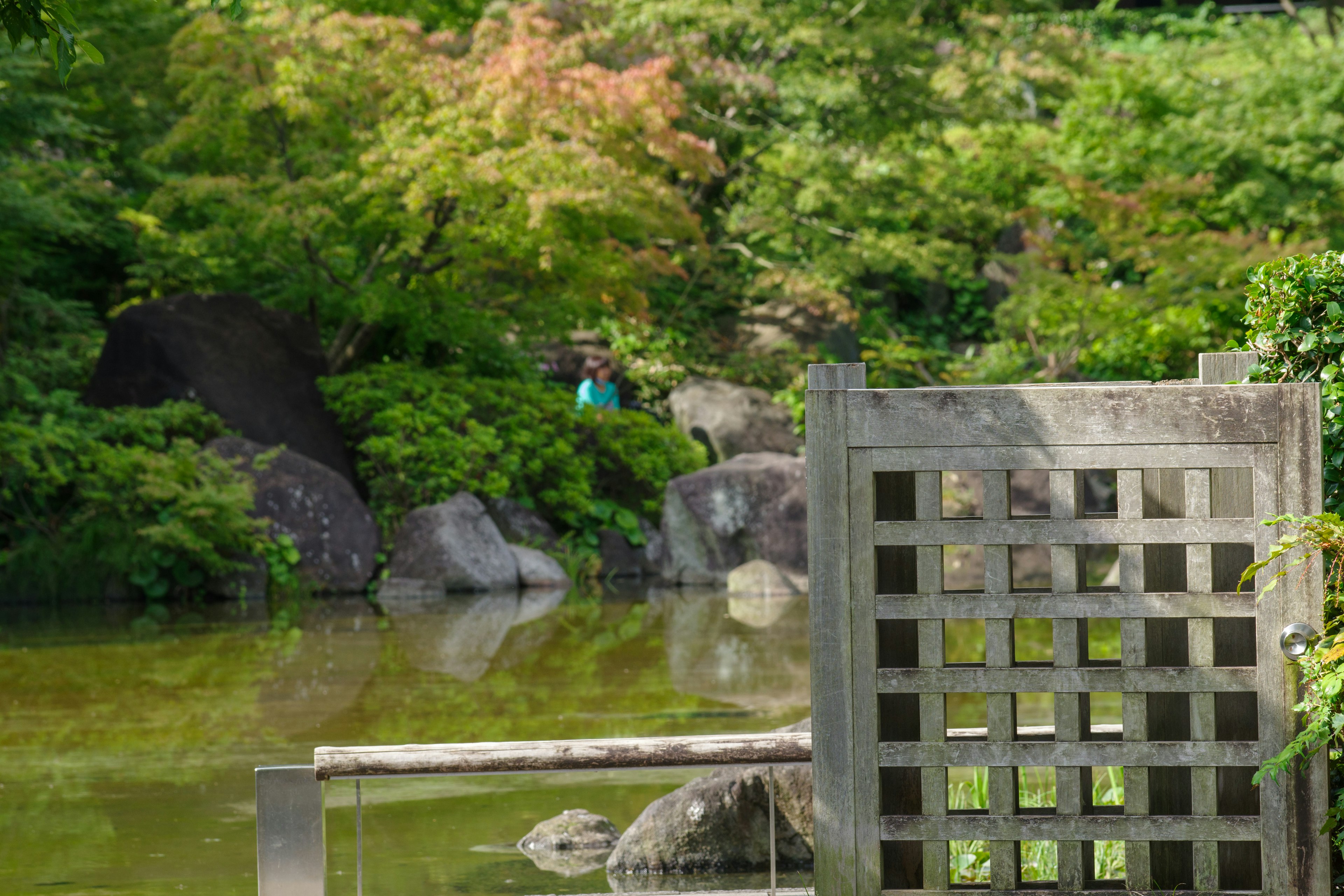 静かな池と緑豊かな景色を背景にした格子状のフェンス