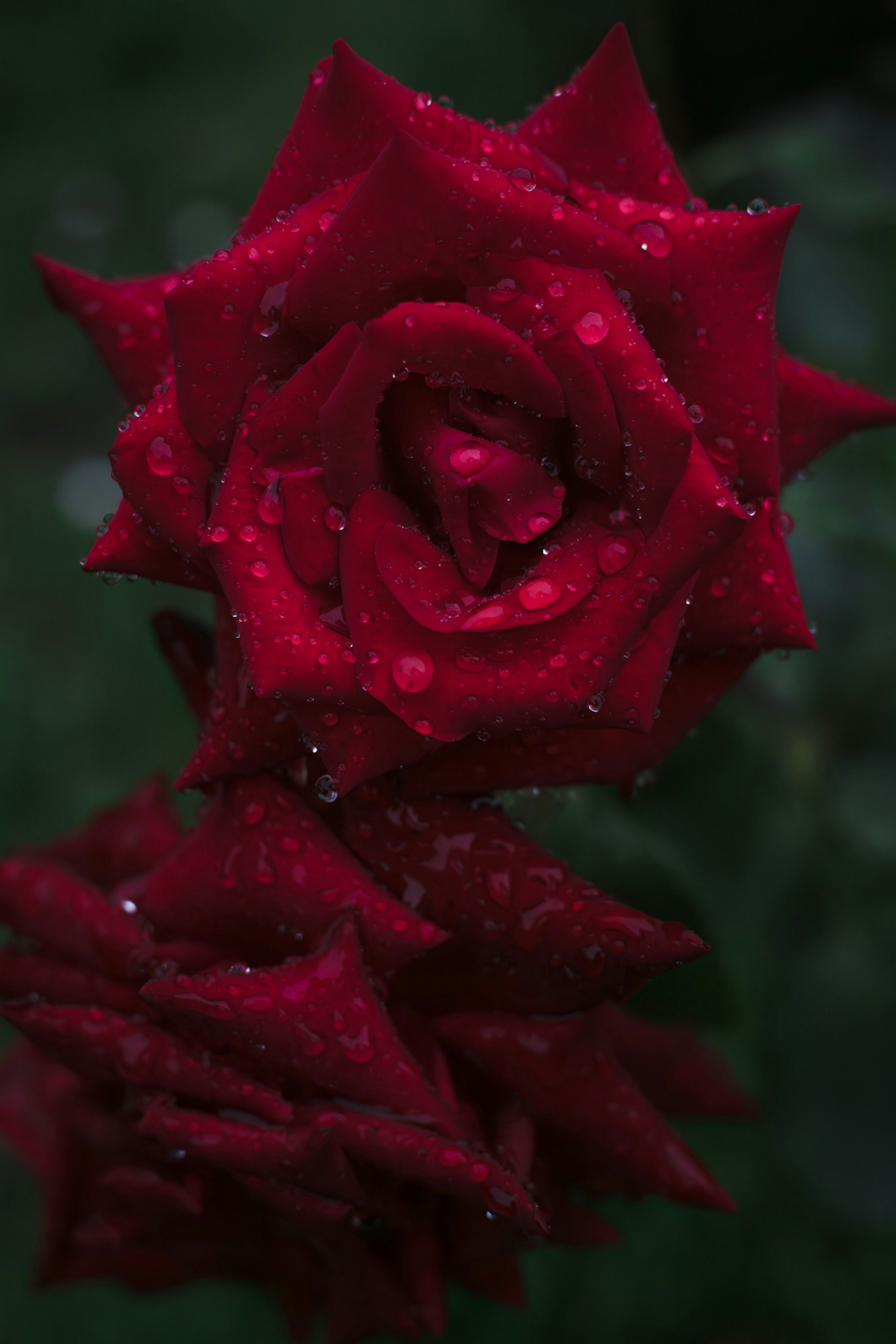 photo-avi1u1KyzHdqxGQnopQv-image