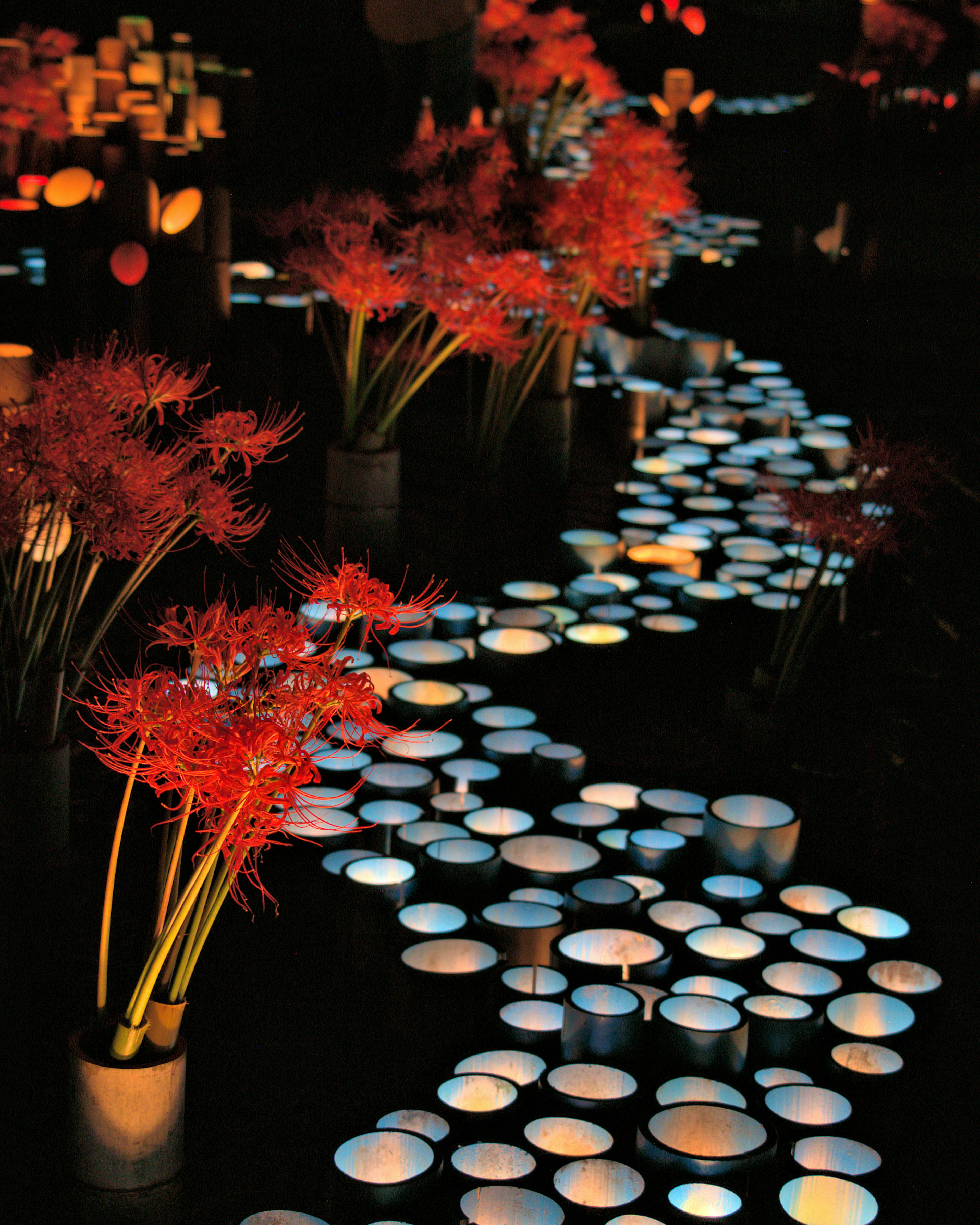 Una escena serena con flores rojas vibrantes y velas teal brillantes que crean una atmósfera mágica