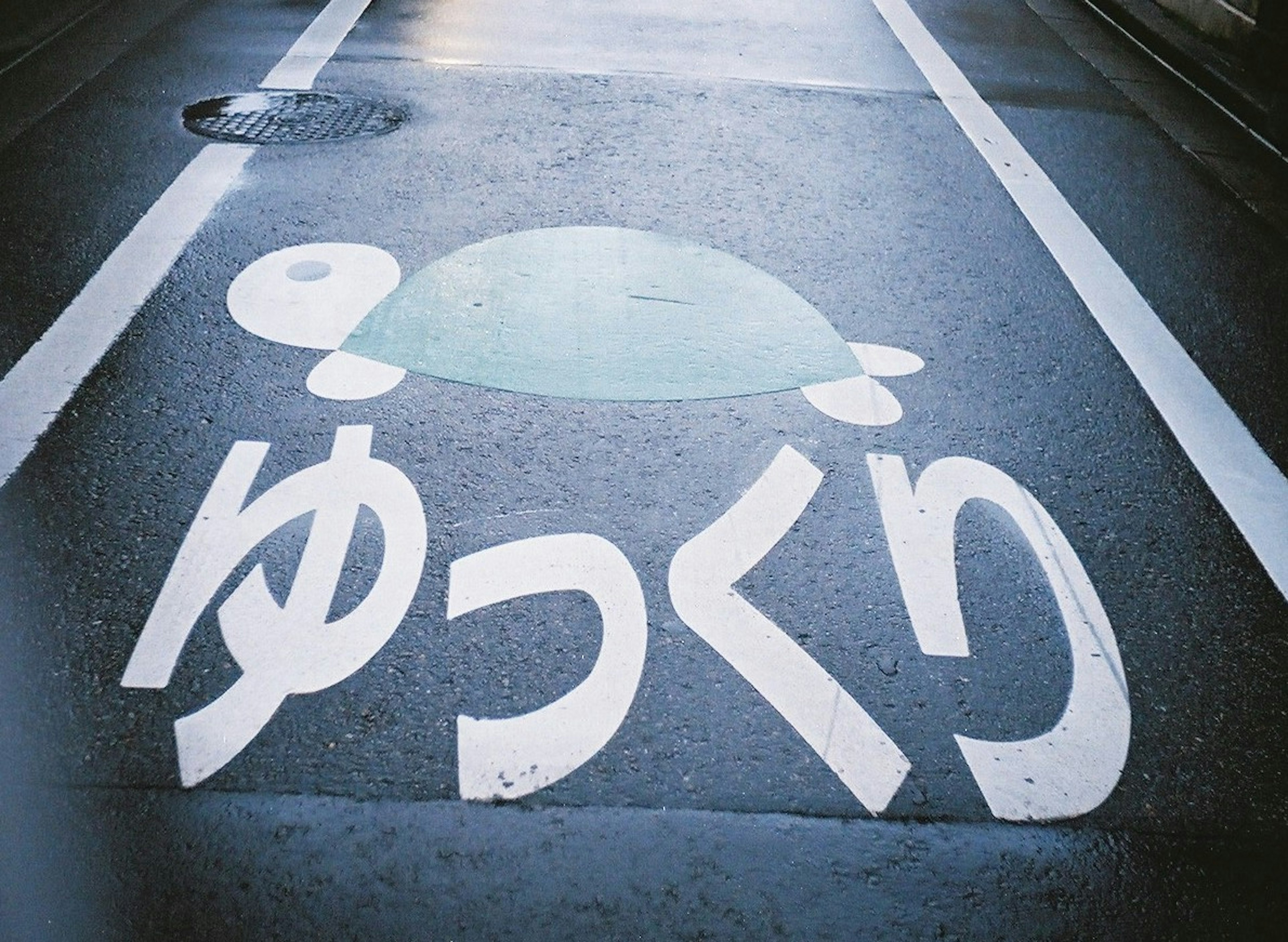 道路に描かれたカメのイラストと「ゆっくり」の文字