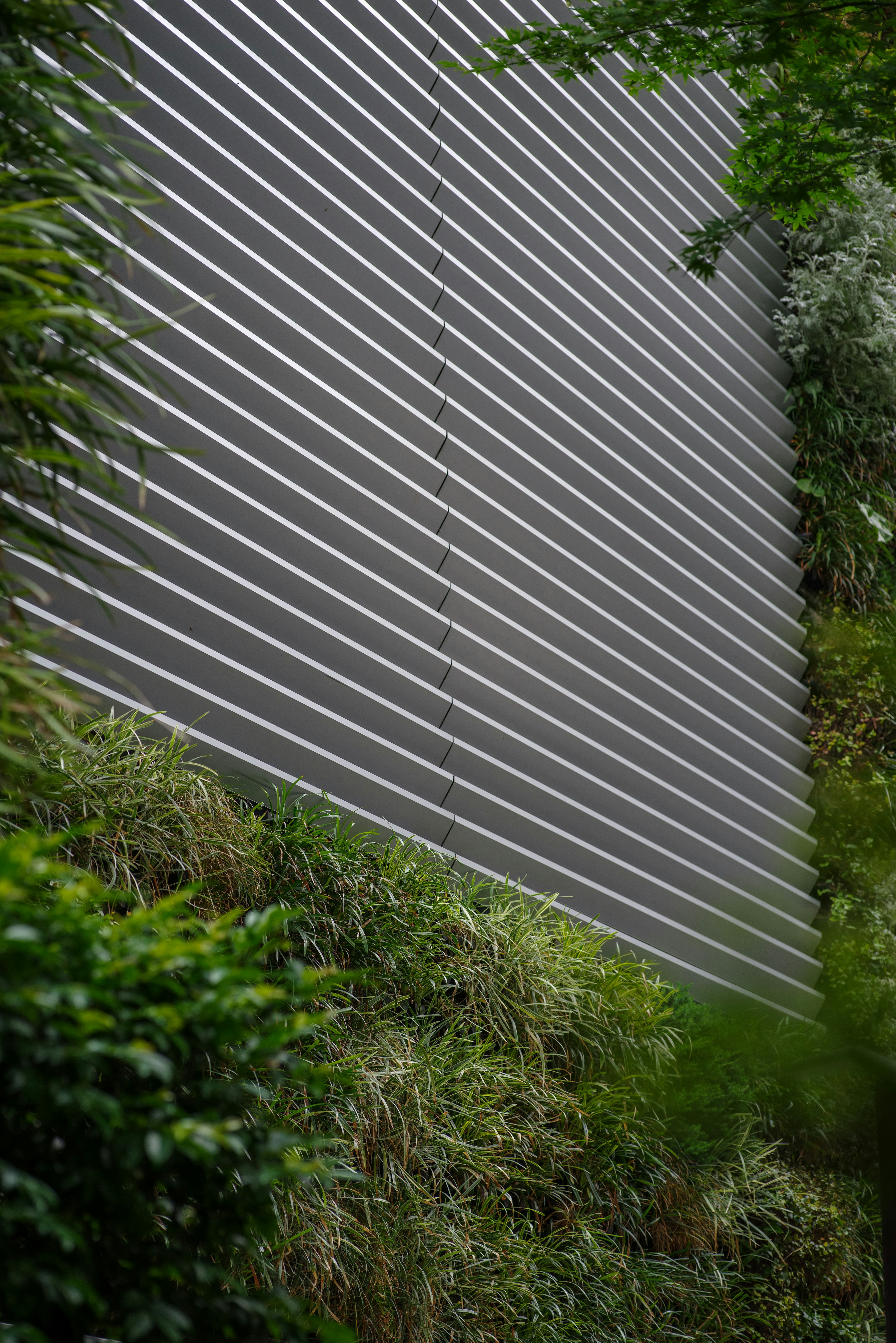 Diagonal metal wall surrounded by green plants