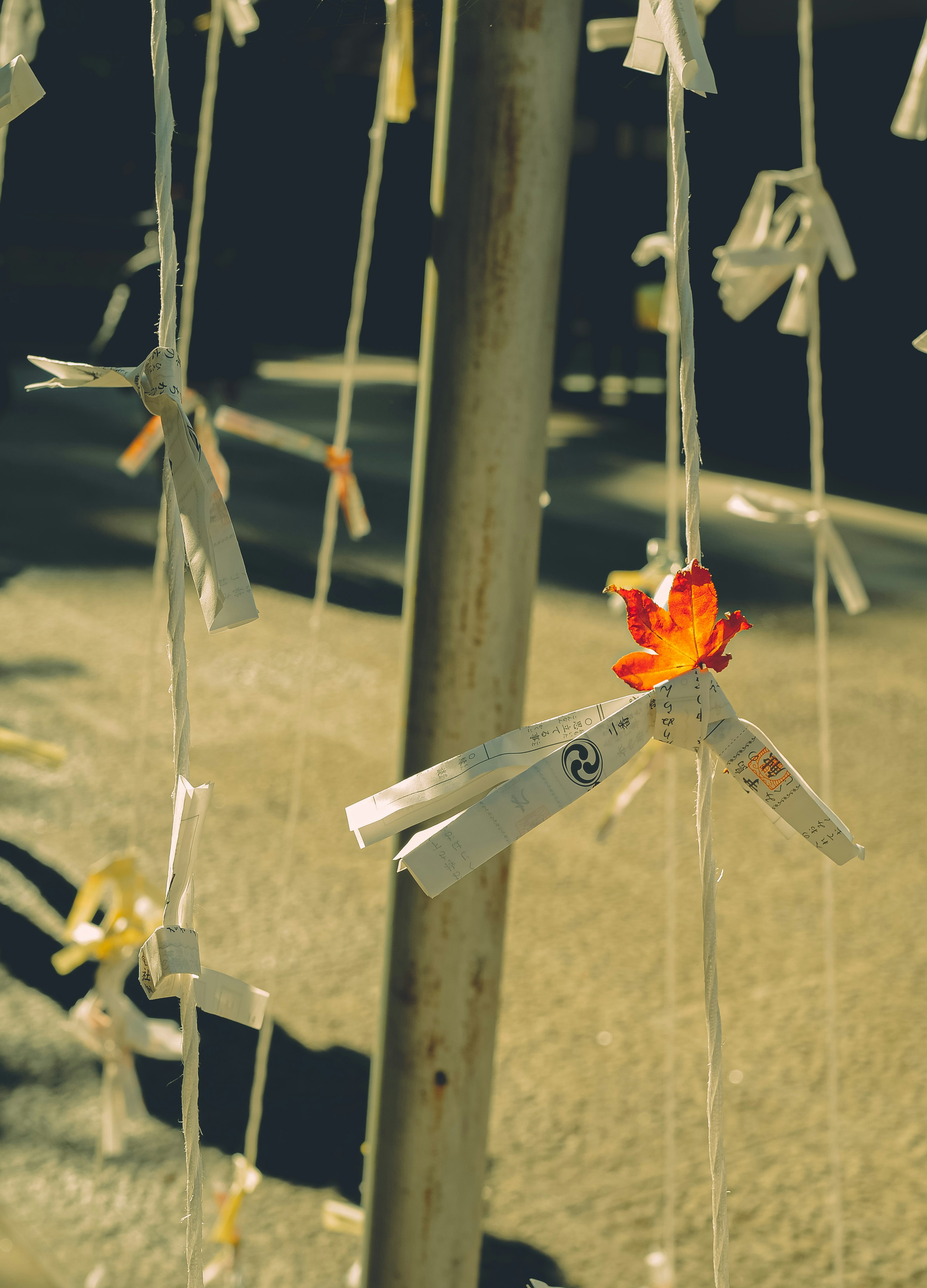 White ribbons hanging from a pole with an orange flower attached