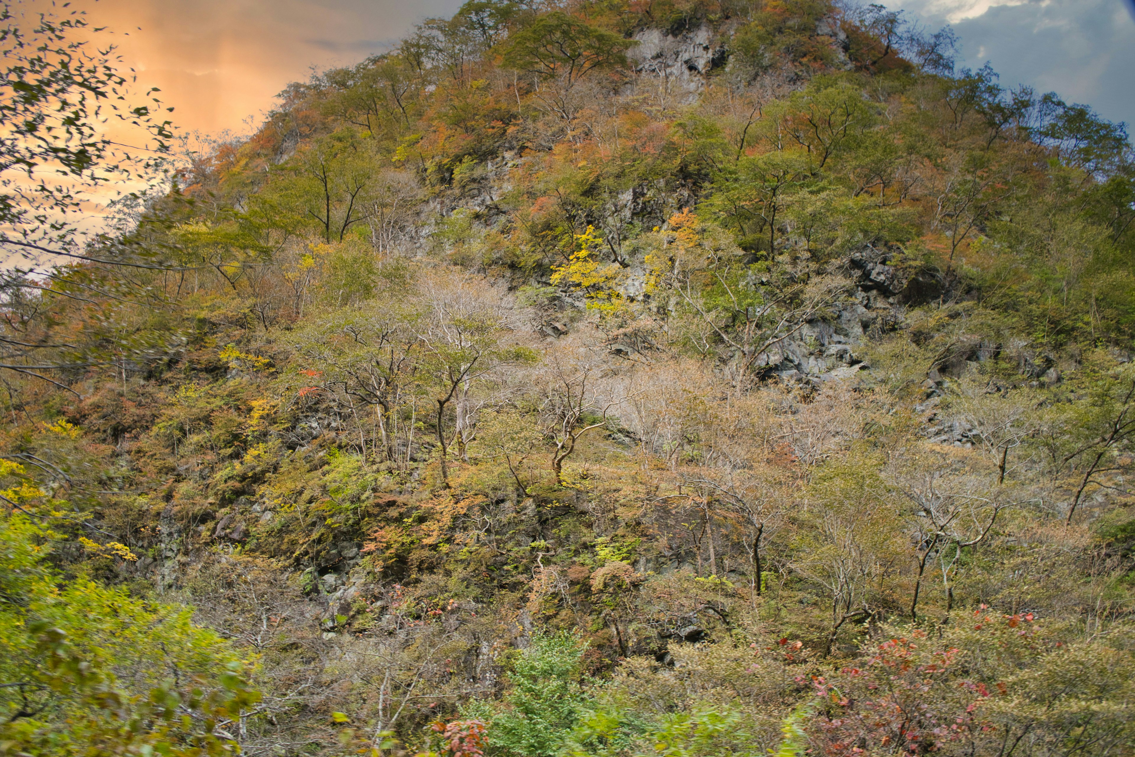 五彩斑斓的秋季树叶山景