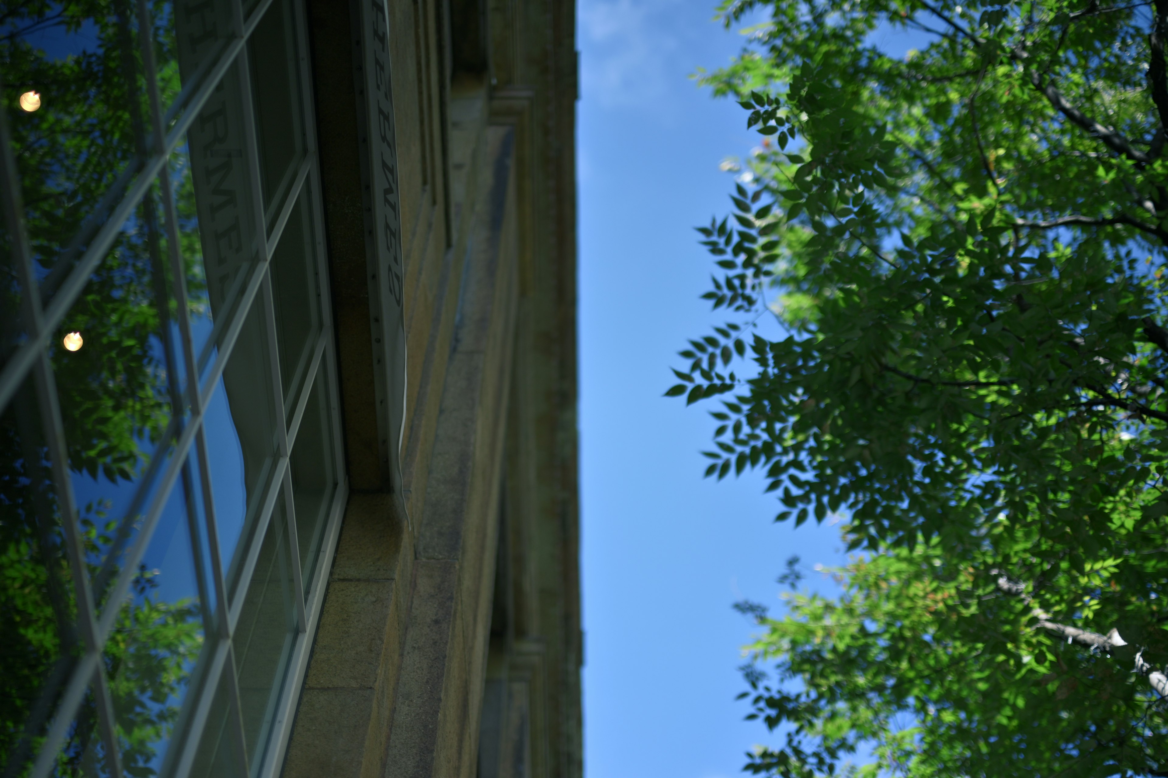 Bild zeigt einen Teil eines Gebäudes mit grünen Bäumen und blauem Himmel im Hintergrund