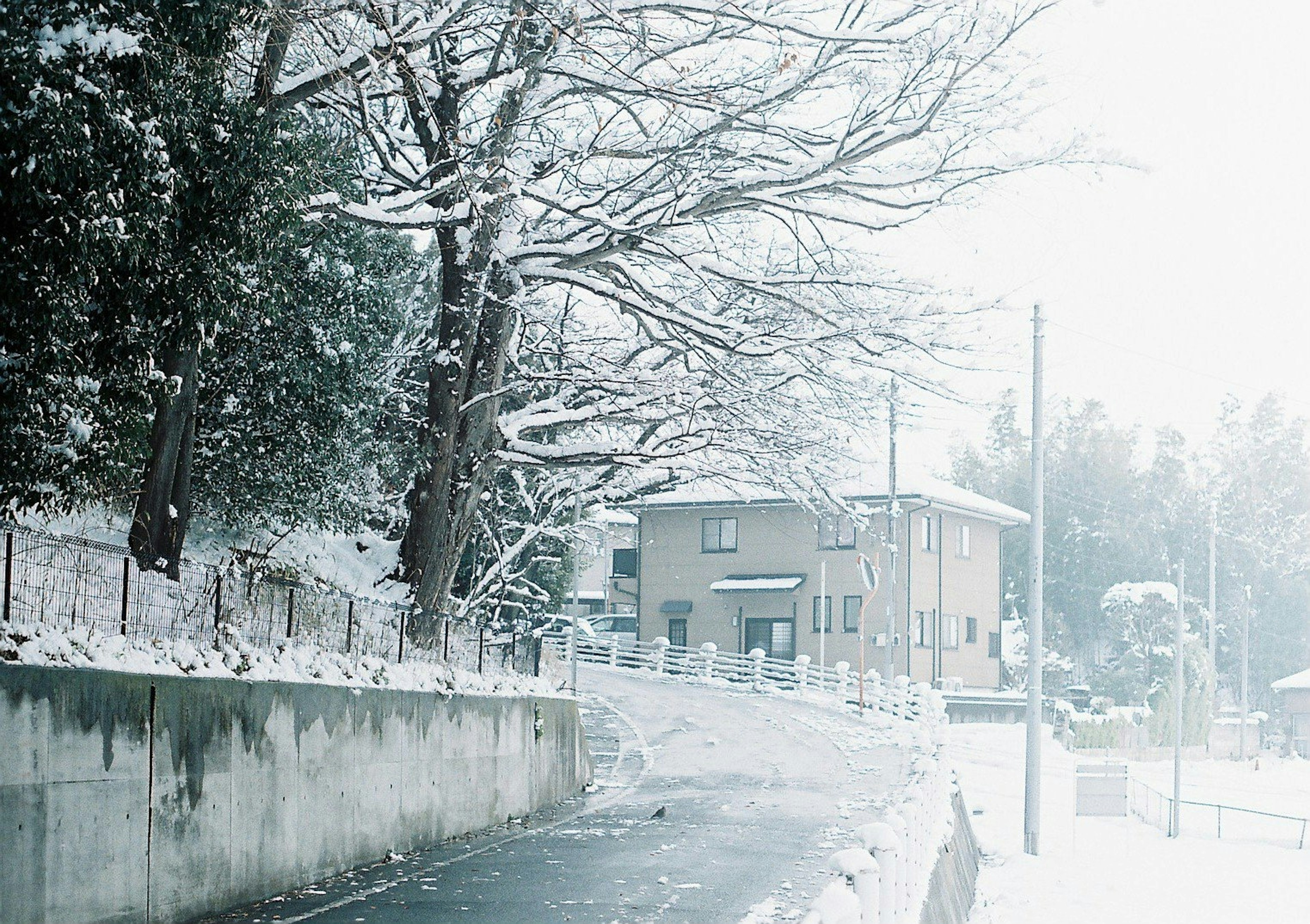 Strada coperta di neve con alberi e una casa sullo sfondo