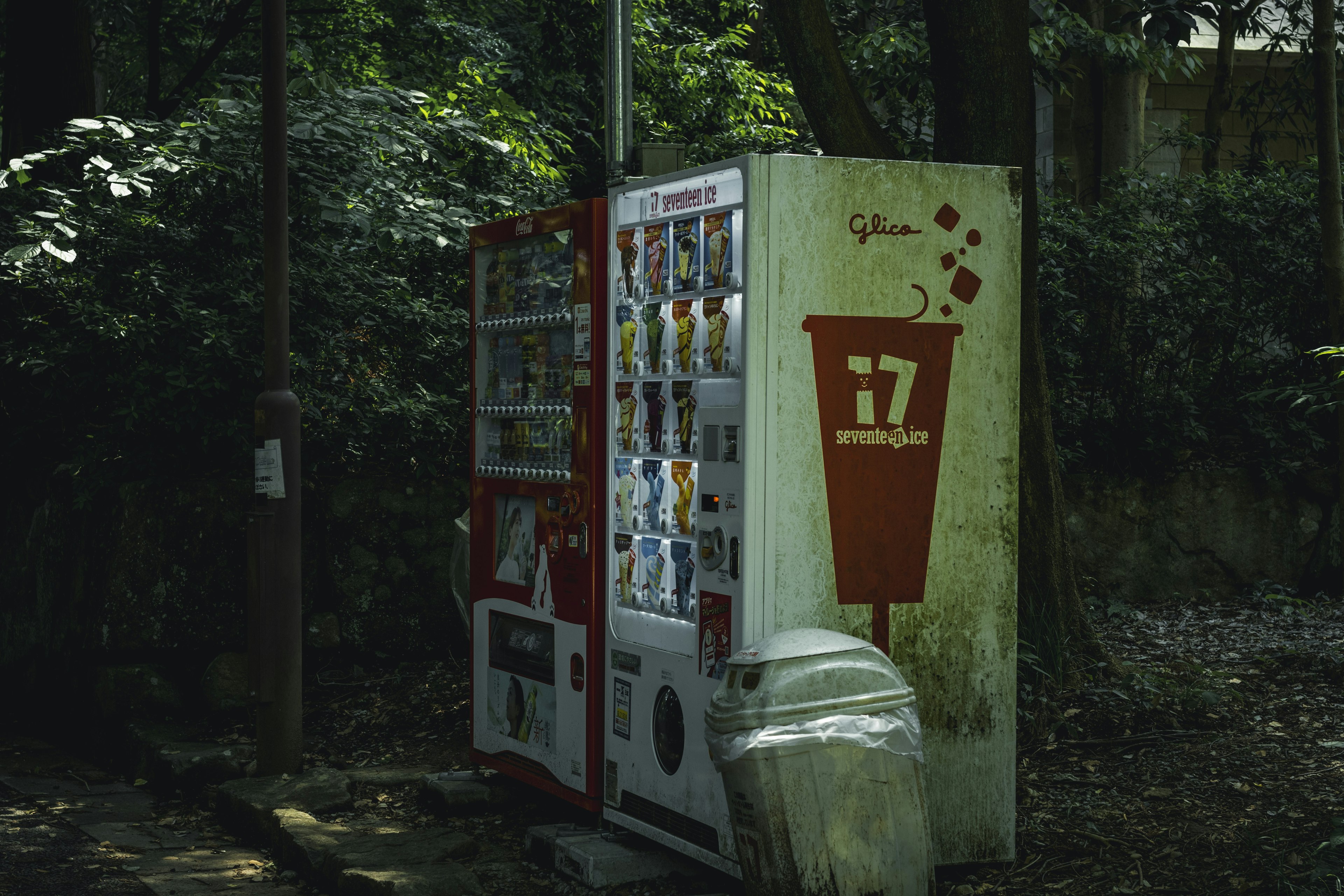 Máquina expendedora antigua y papelera en el bosque