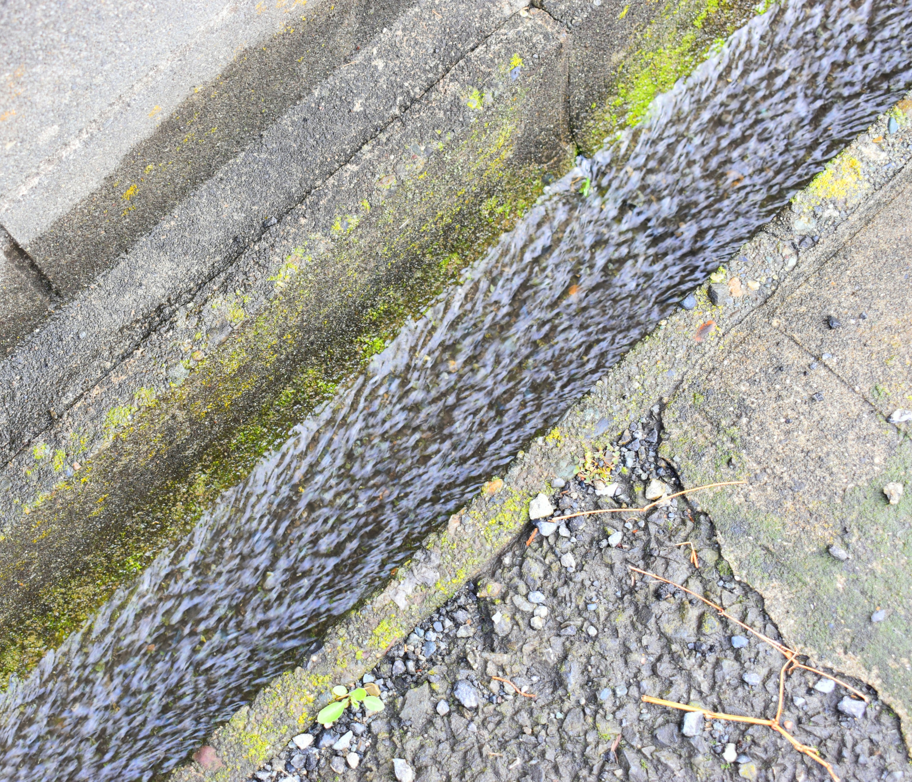 Close-up of water flowing in a concrete gutter with visible green moss