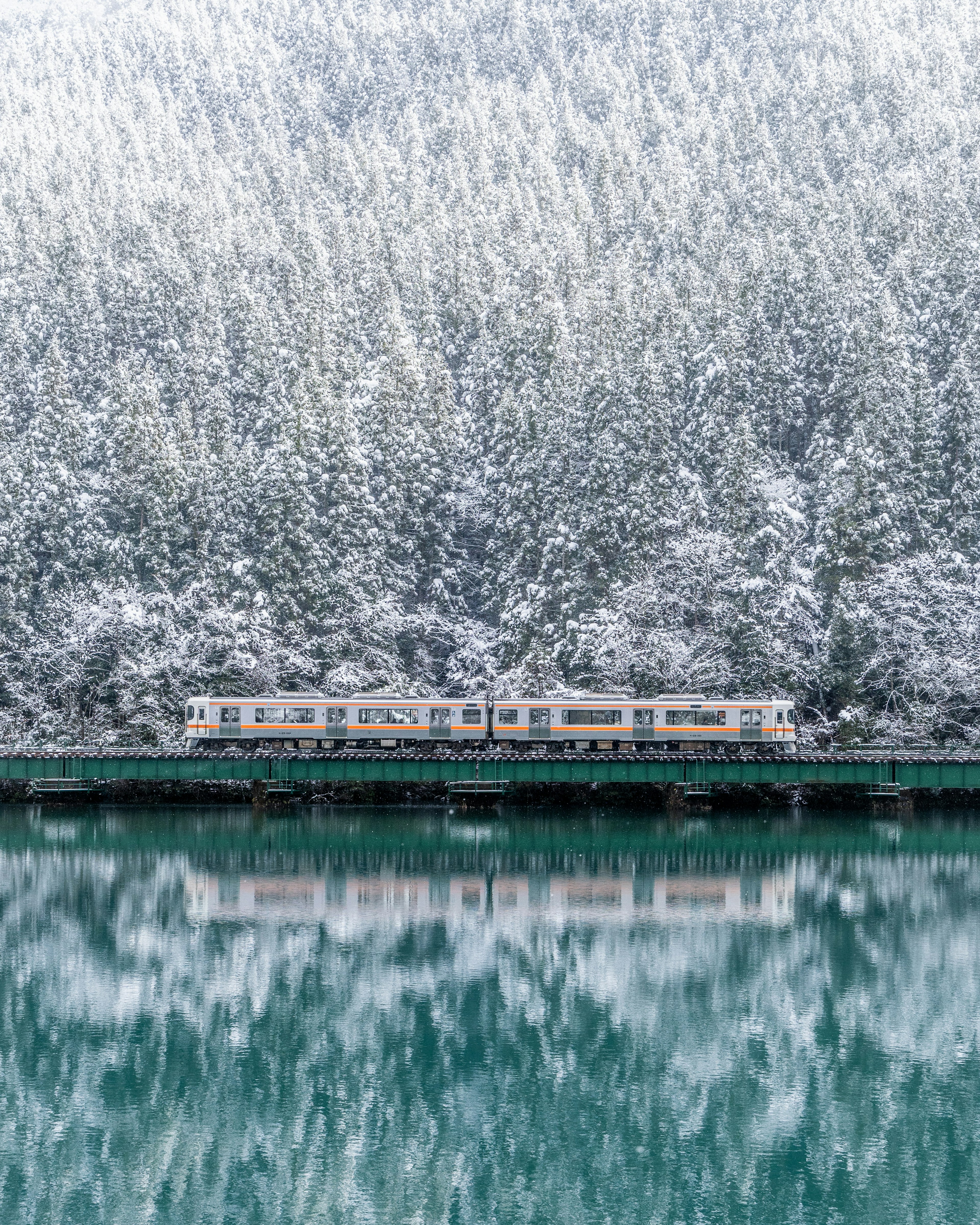 Zug, der entlang eines verschneiten Waldes und eines ruhigen Sees fährt