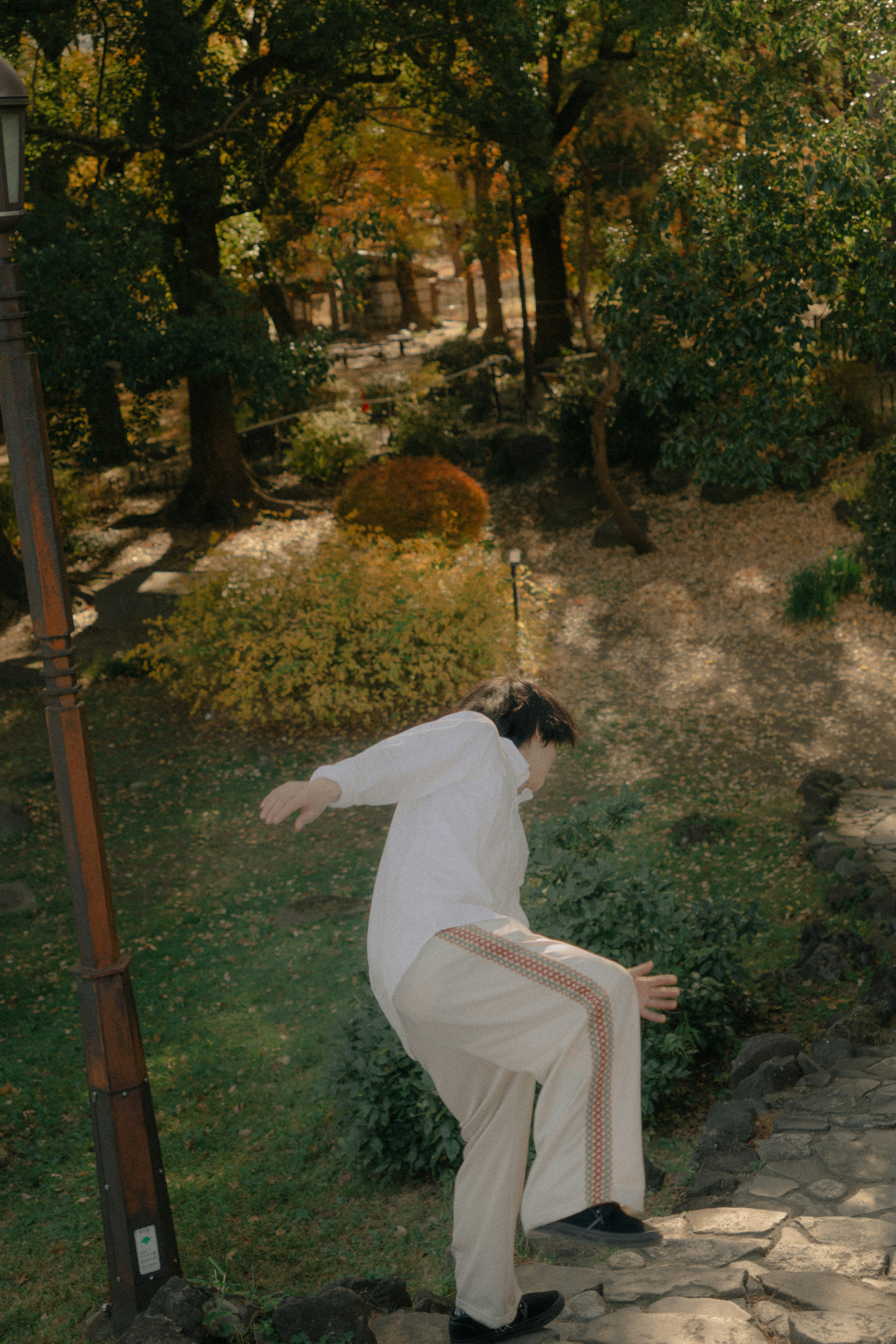 Man descending stairs in an autumn park