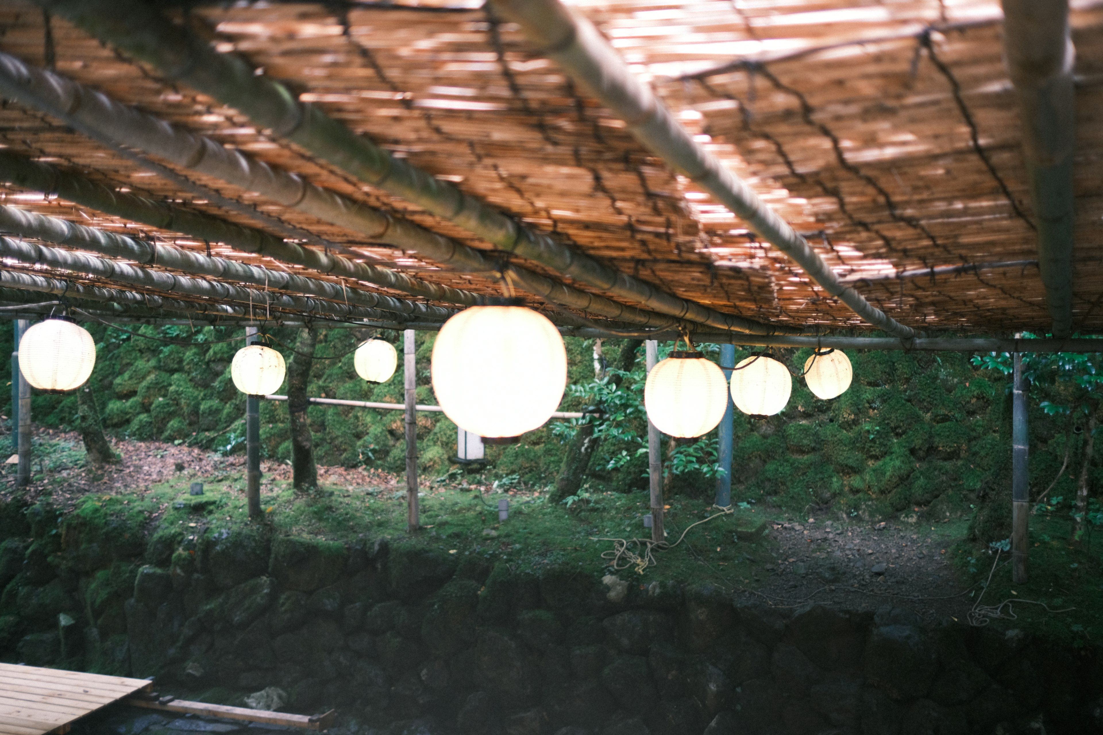 White lanterns hanging under a bamboo roof with a green background