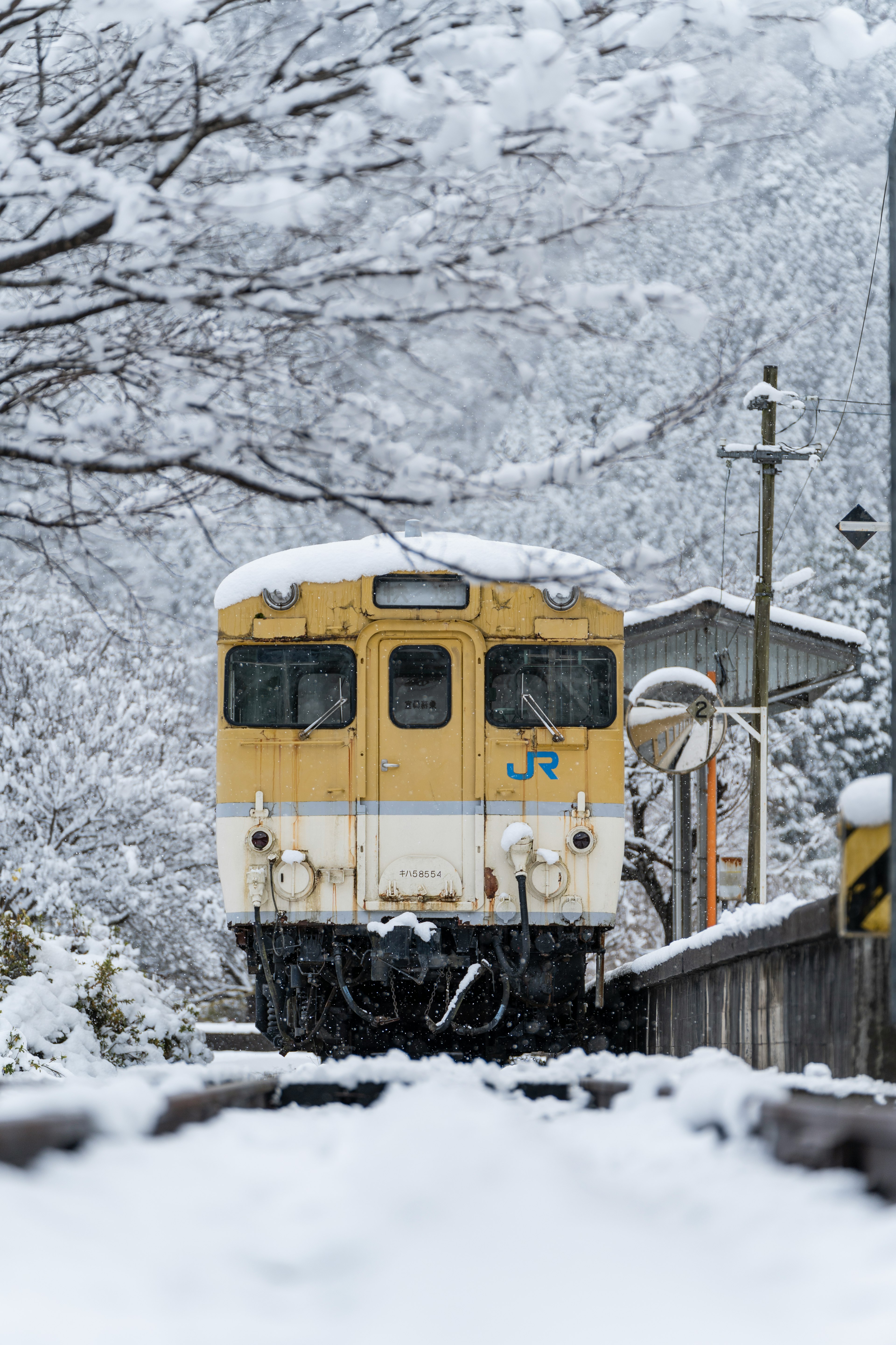 雪に覆われた駅に停車中の黄色い列車