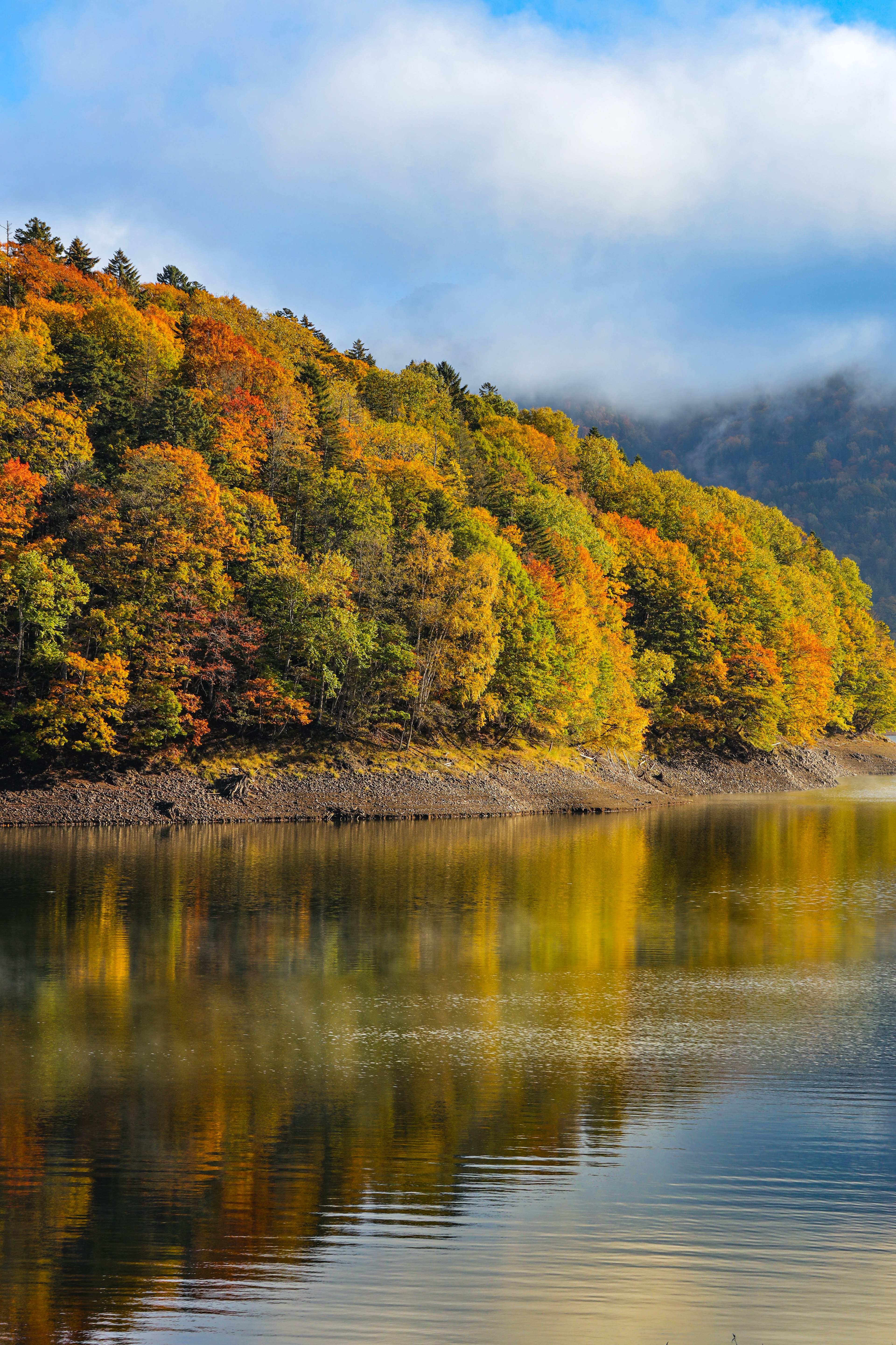 Un paysage avec des arbres aux couleurs d'automne se reflétant dans un lac