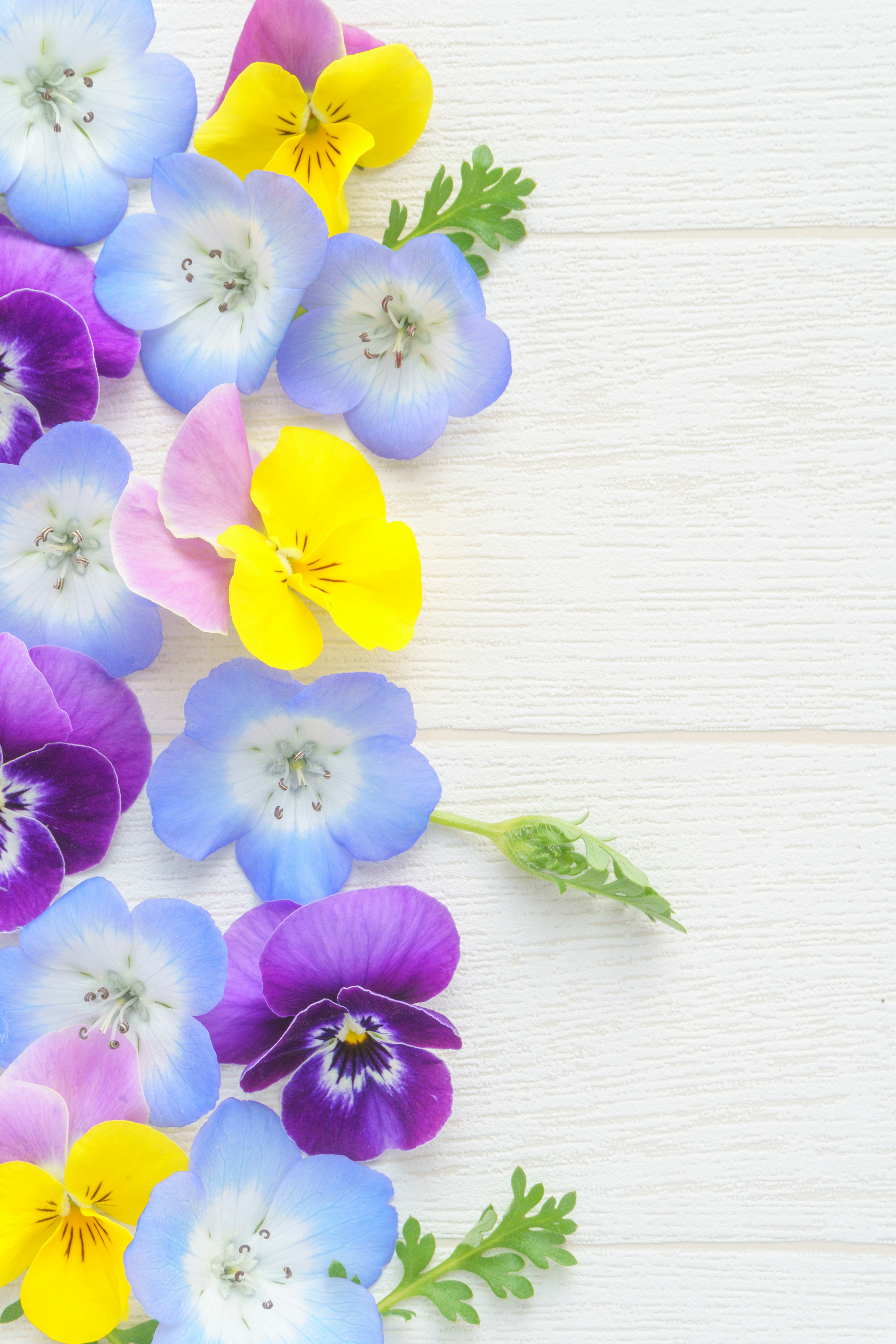 Un bellissimo arrangiamento di fiori colorati su uno sfondo in legno chiaro