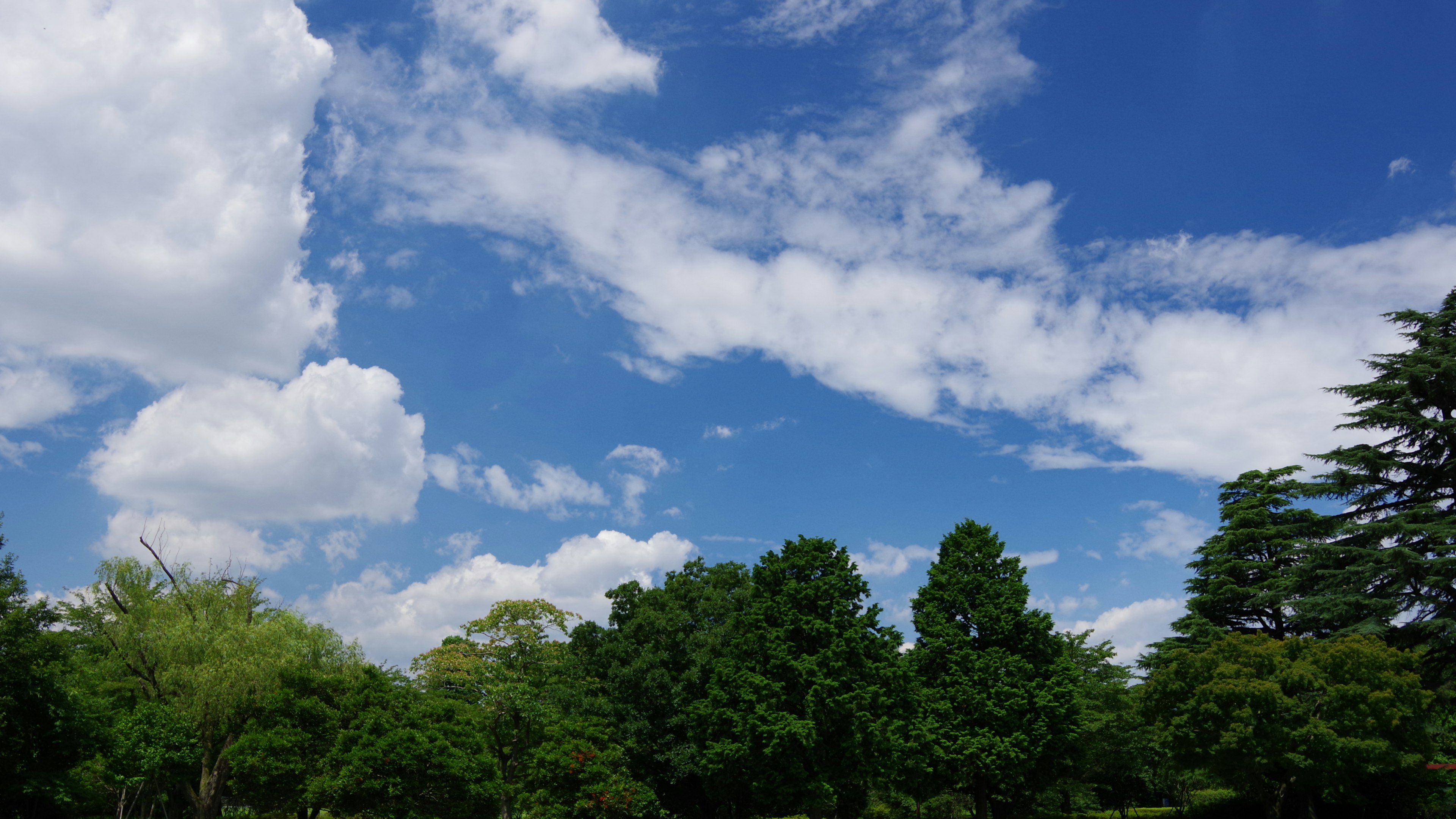 青空と白い雲が広がる緑豊かな風景