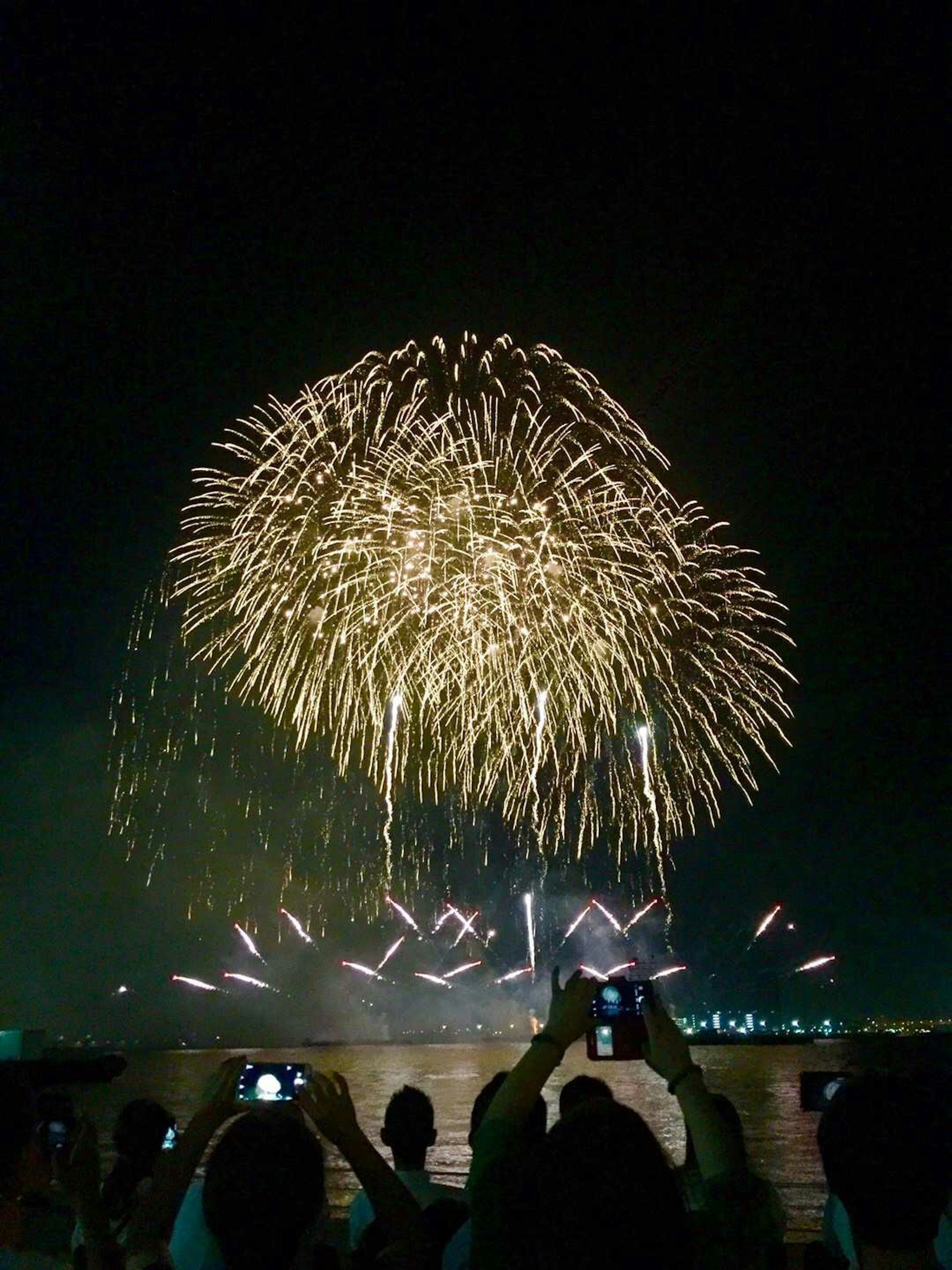 Fuegos artificiales iluminando el cielo nocturno con siluetas de espectadores